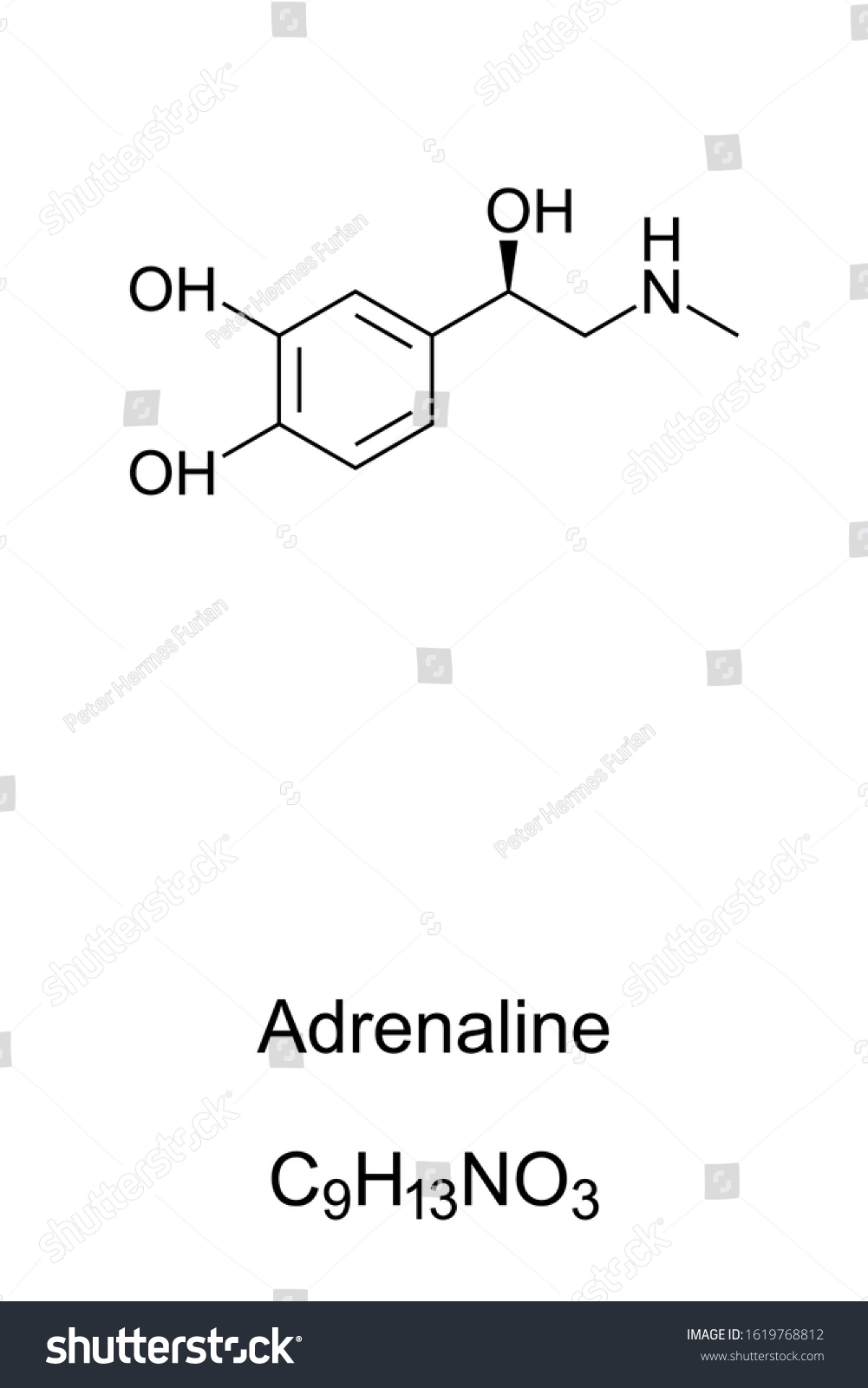 Adrenaline Molecule Epinephrine Skeletal Formula Structure Vector De