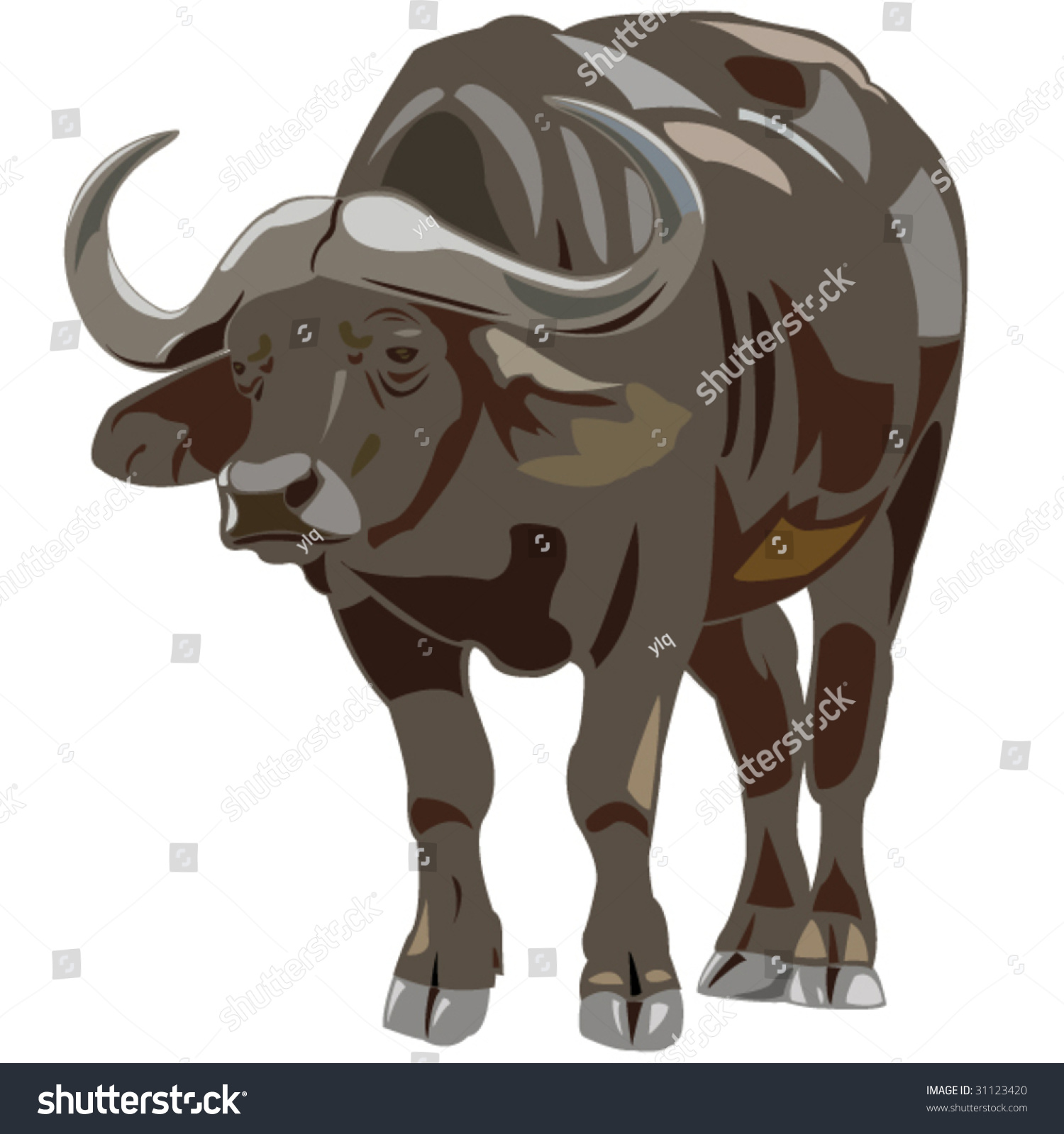 African Buffalo Stock Vector Illustration 31123420 : Shutterstock