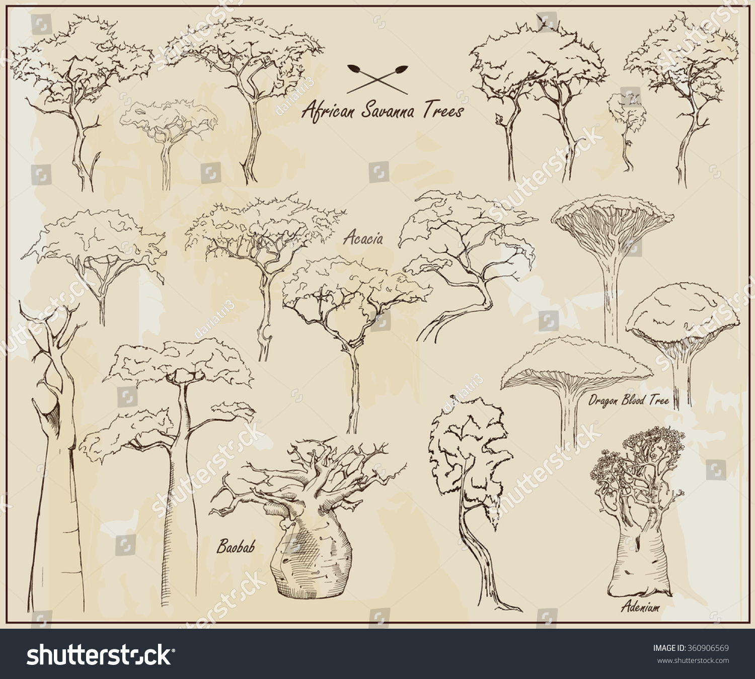 African Savanna Trees, Exotic Trees, Set Of Different Hand Drawn Trees