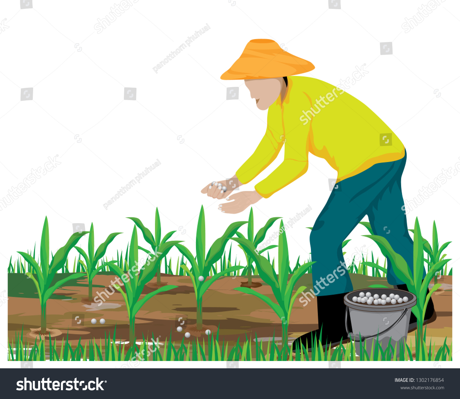 Agriculturist Manure Corn Plant Vector Design Stock Vector Royalty