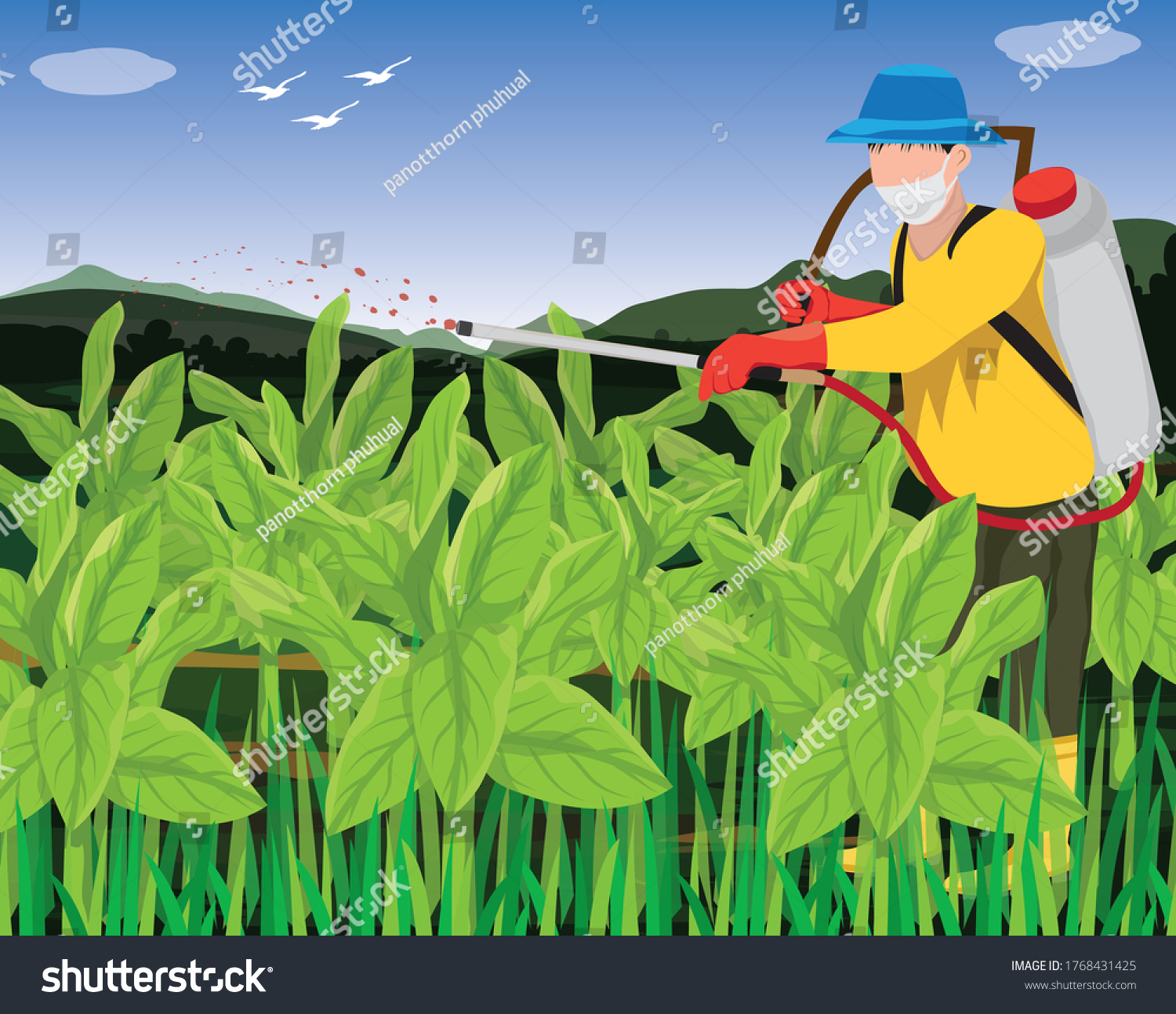 Agriculturist Spray Manure Into Tobacco Plant Stock Vector Royalty