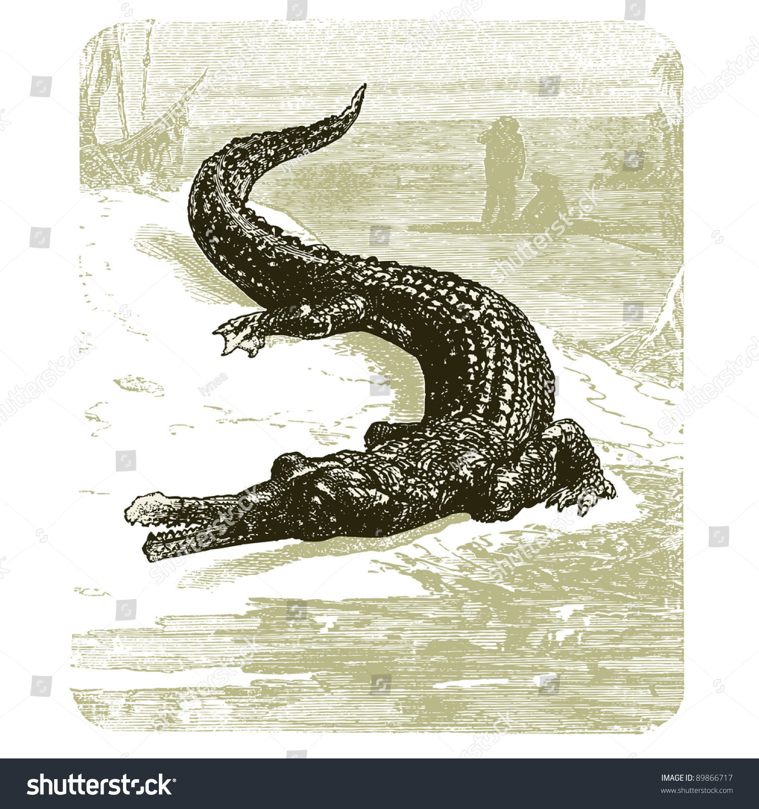 vintage alligator mind strip tab