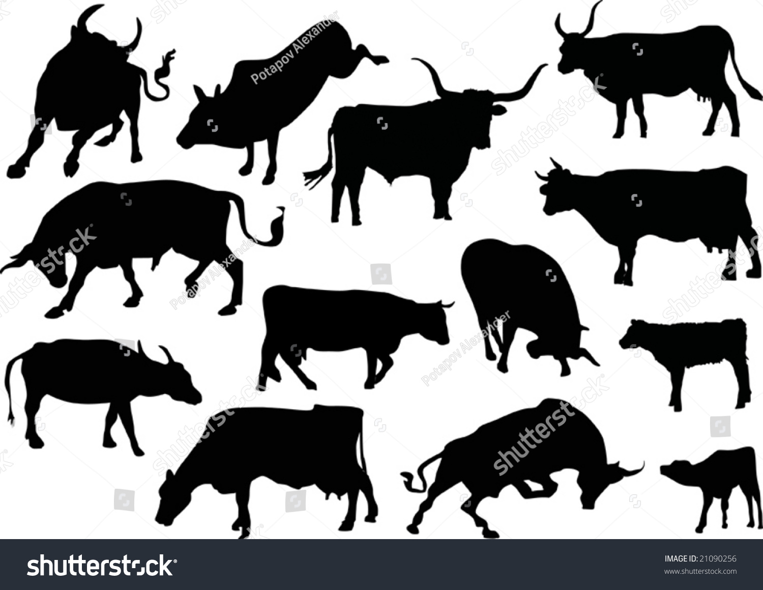 cow buffalo clipart - photo #13