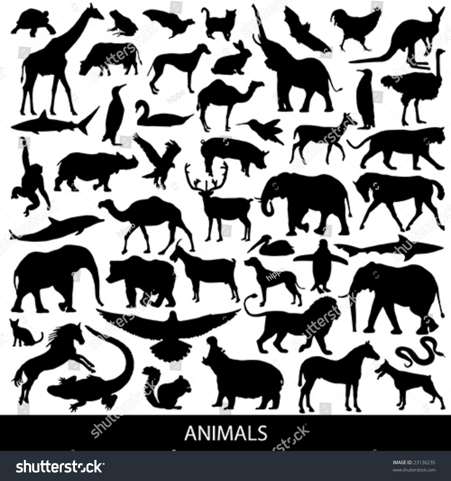 Animals Silhouettes Stock Vector Illustration 23136235 : Shutterstock