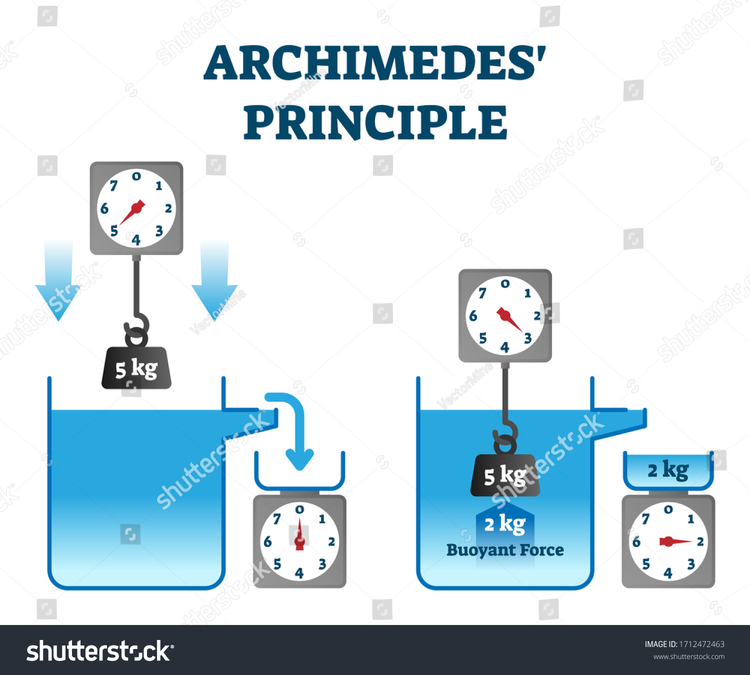 Archimedes Principle Vector Illustration Buoyant Force Stock Vector