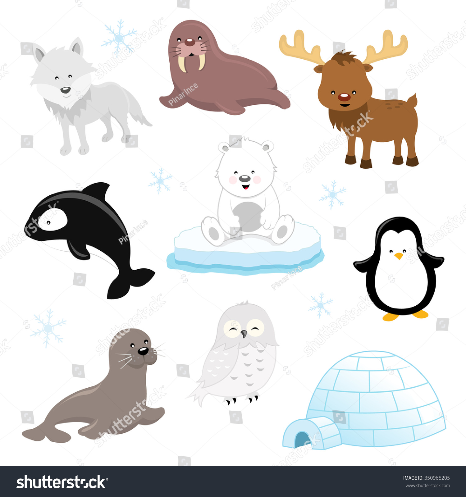 Arctic Animal Set Stock Vector Illustration 350965205 ...