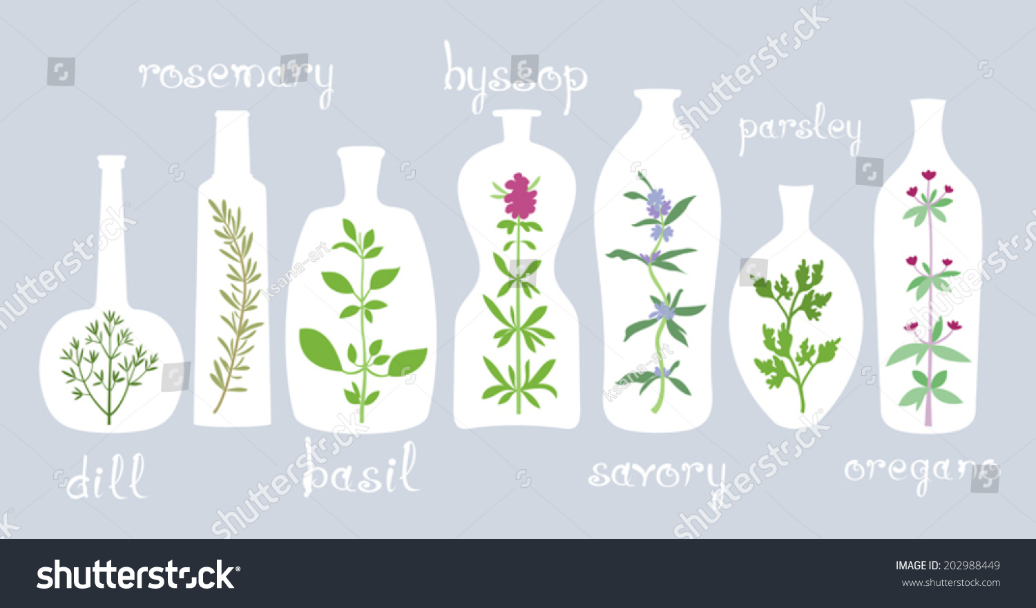 Aromatic Plants Bottles Different Bottles Various Stock Vector ...