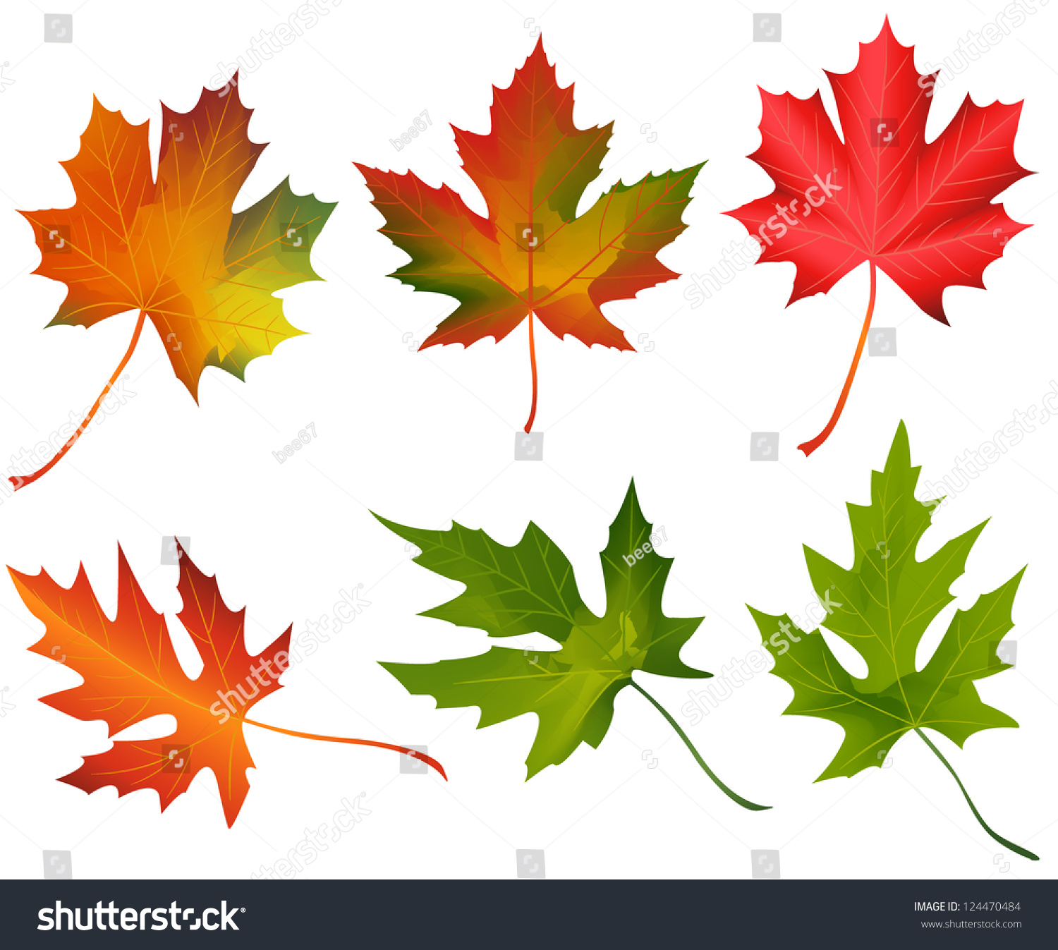 Autumn Leaves Stock Vector Illustration 124470484 : Shutterstock