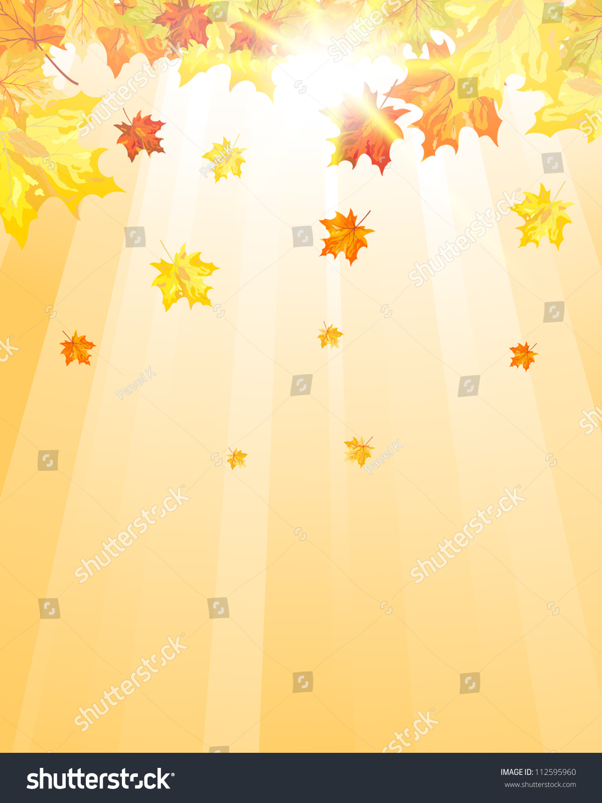 Autumn Maple Leaves Background. Vector Illustration With Transparency
