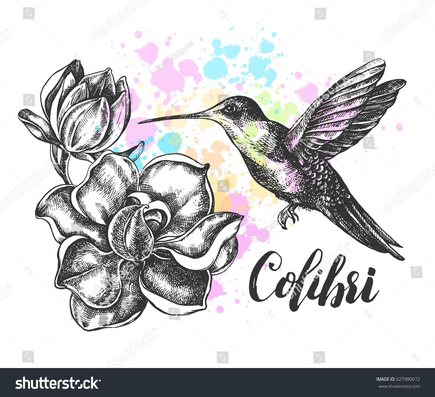 Background Ink Hand Drawn Flying Colibri Stock Vector Royalty Free