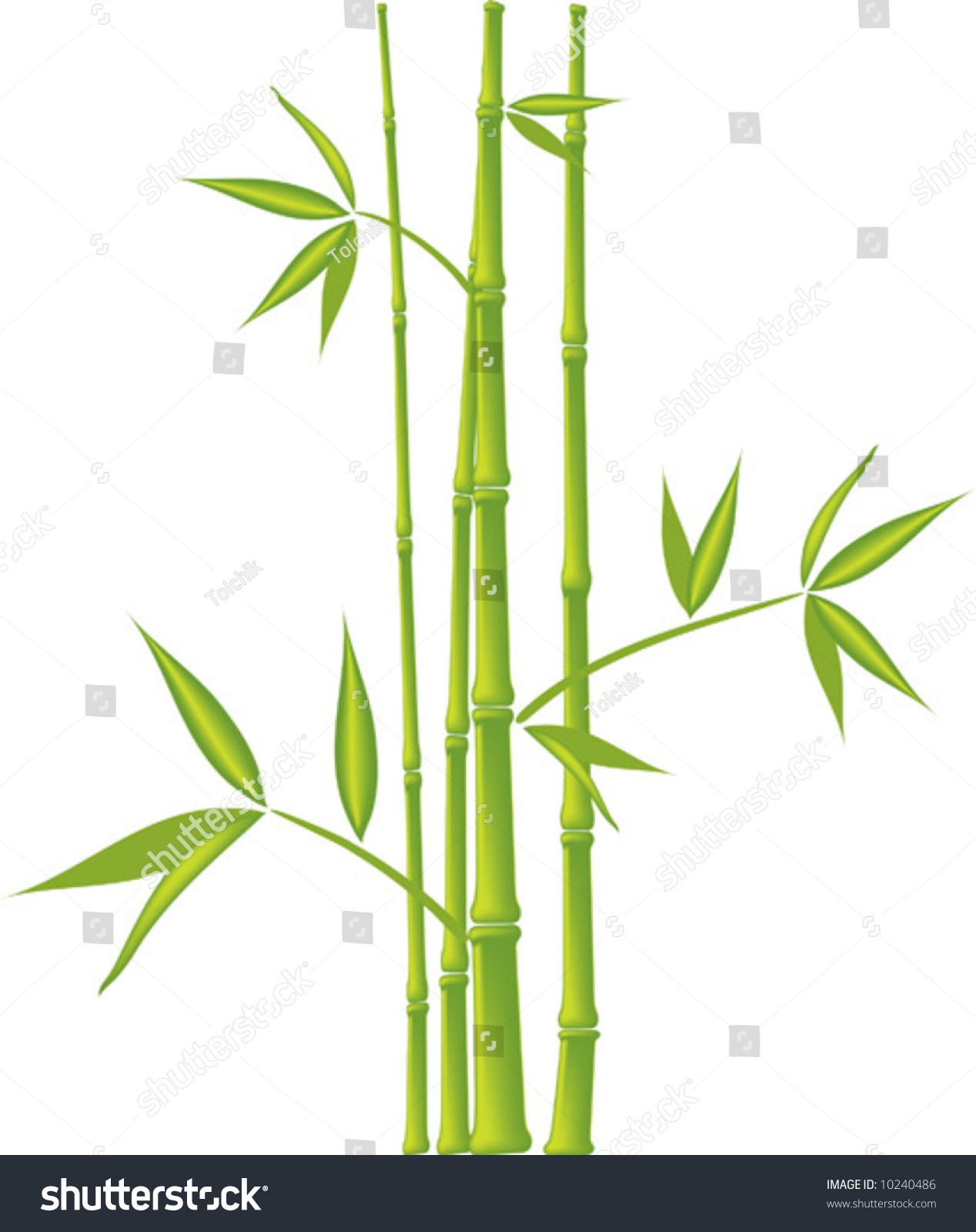 Bamboo, Vector Illustration (Mesh) - 10240486 : Shutterstock