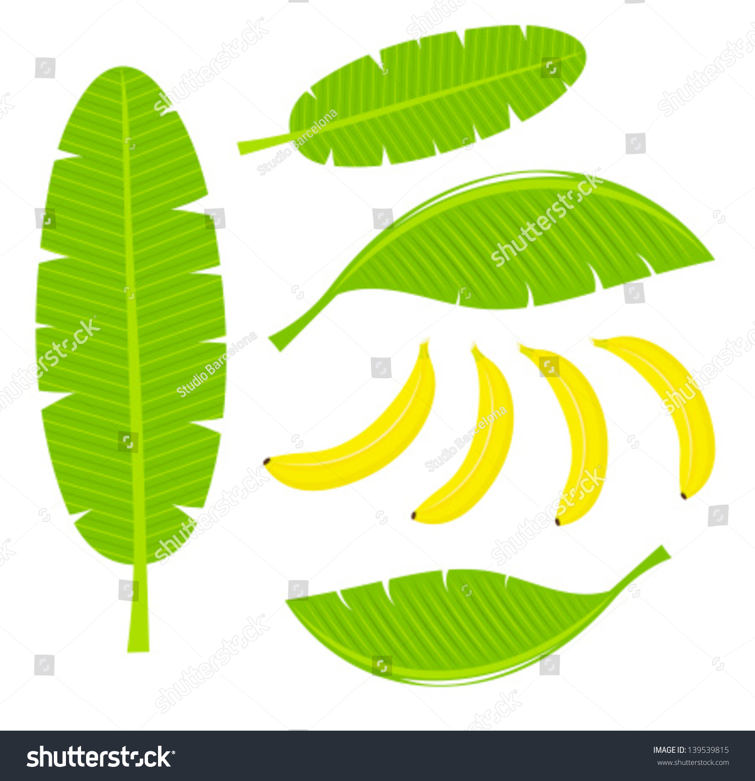 clip art banana leaf - photo #26