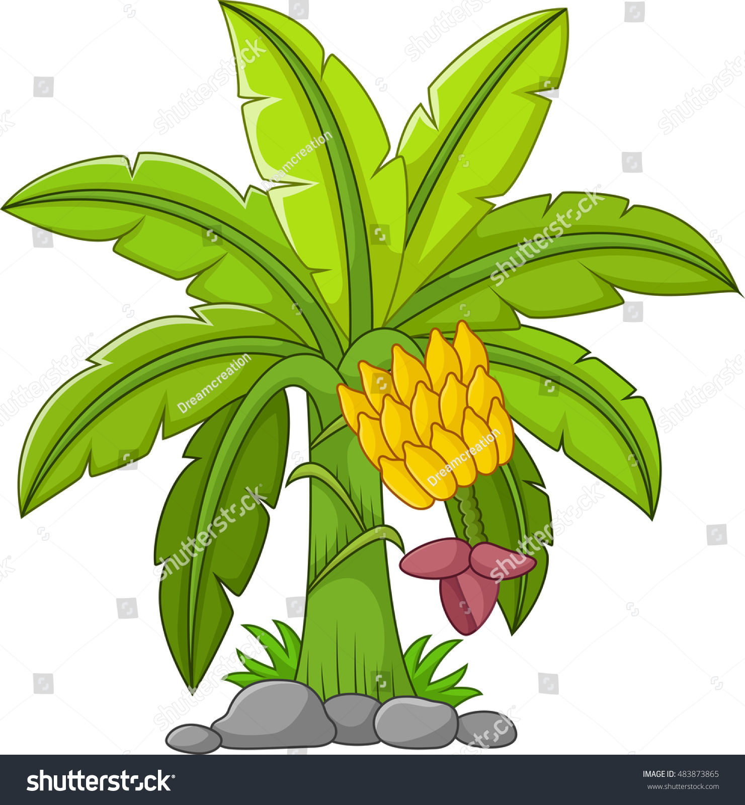 Banana Tree On A White Background Stock Vector 483873865 : Shutterstock