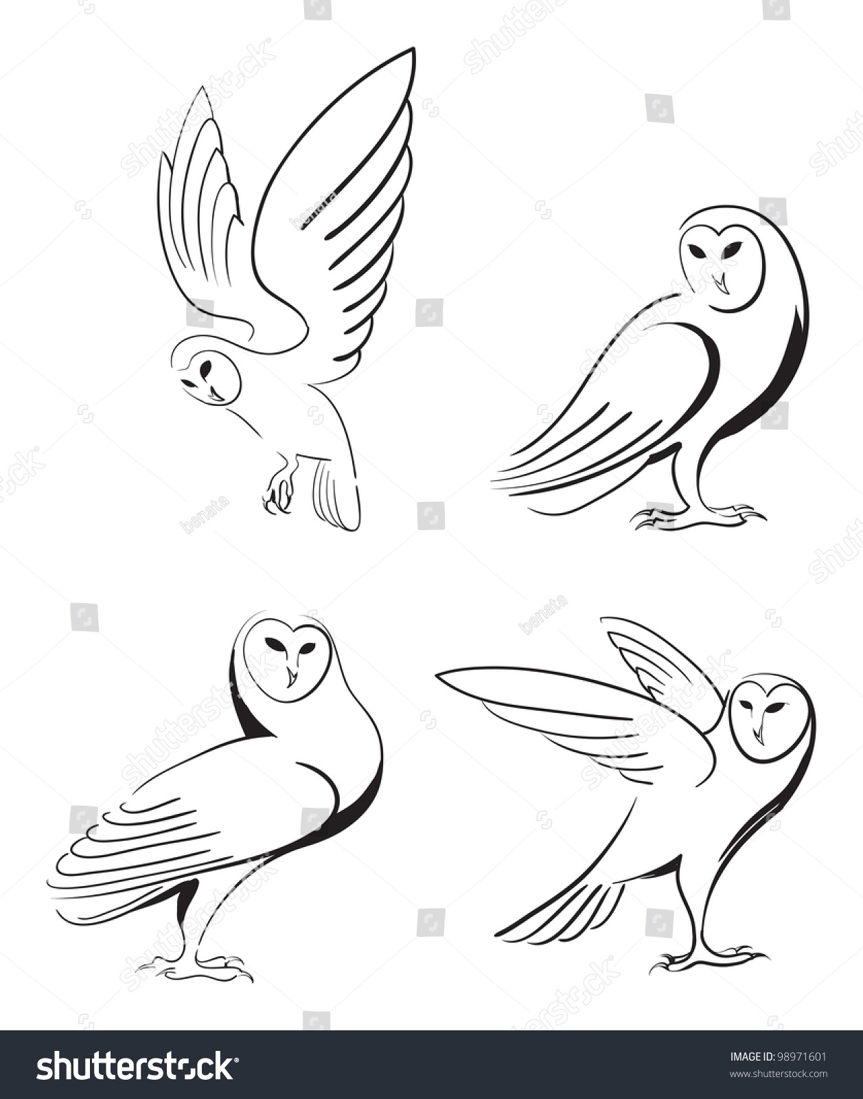 Barn Owls Stock Vector Illustration 98971601 : Shutterstock