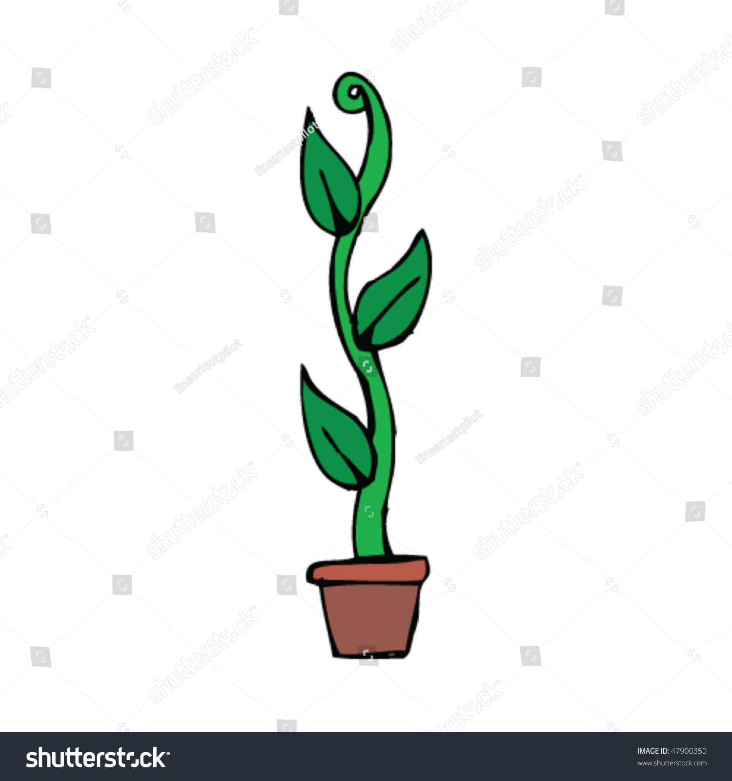 Beanstalk Drawing Stock Vector Illustration 47900350 Shutterstock