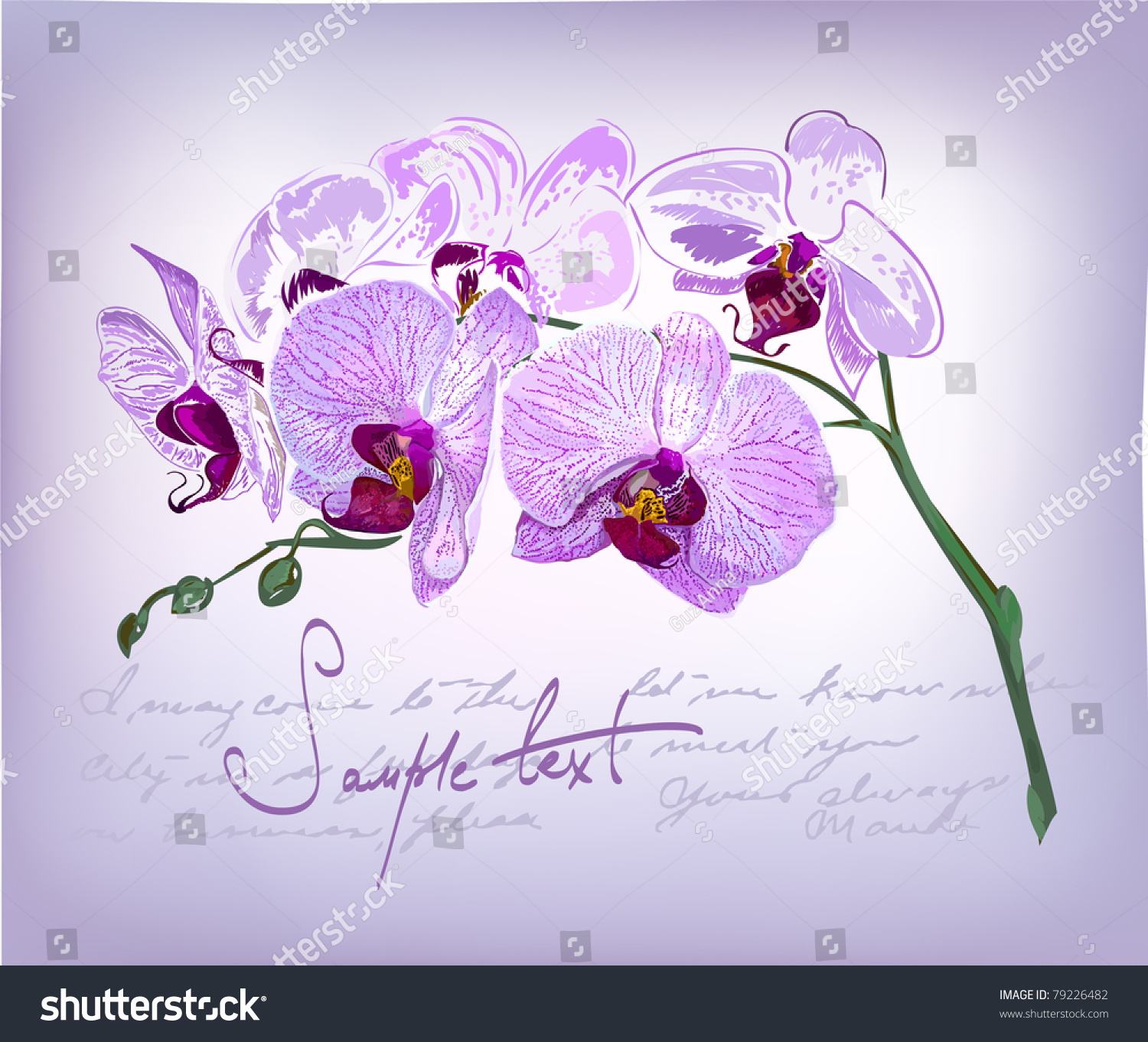Purple Orchid Drawing