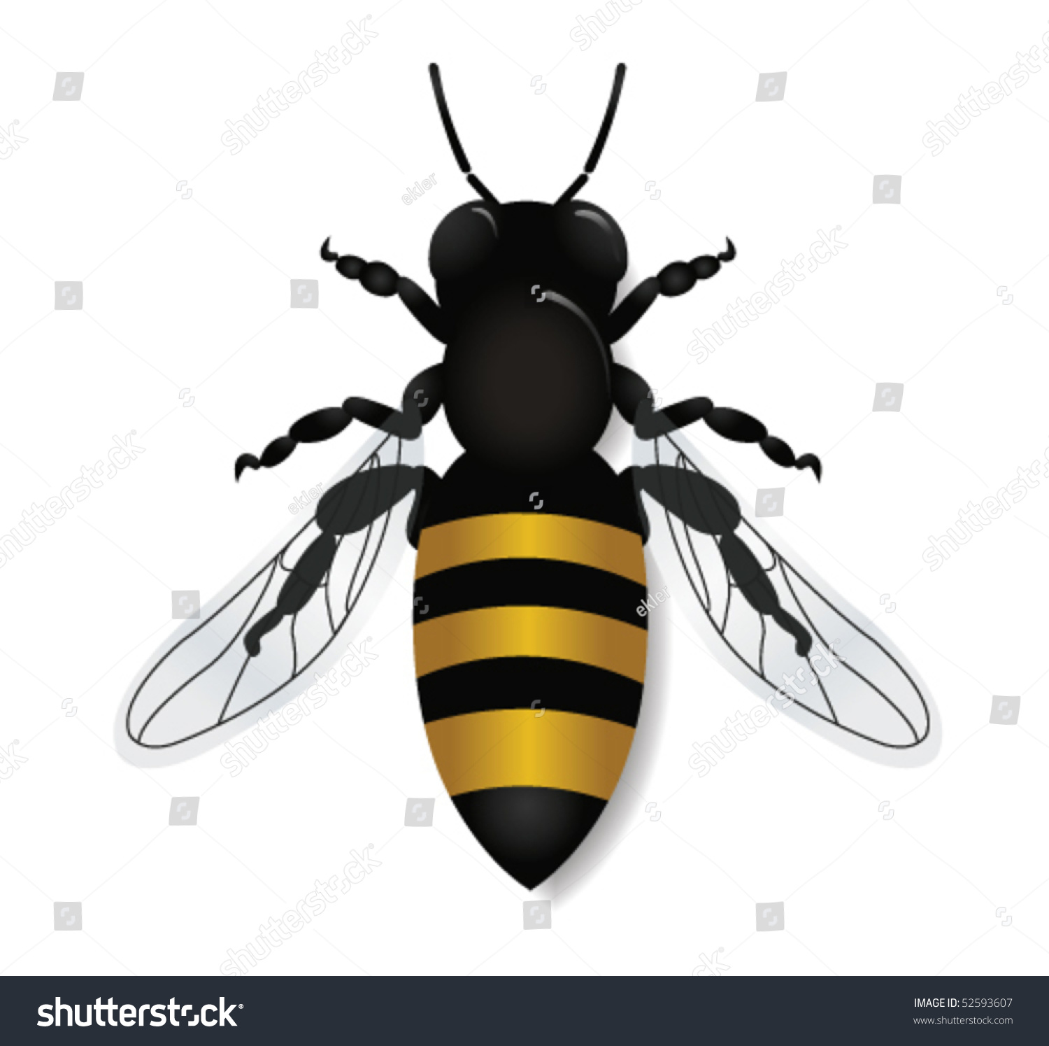 Bee Vector Stock Vector 52593607 - Shutterstock