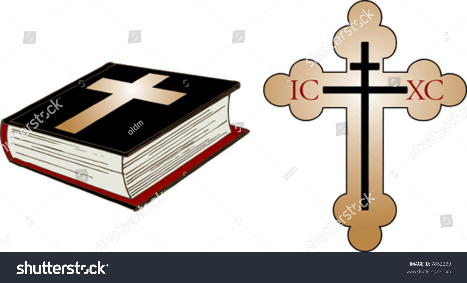 Bible And Cross Vector - 7862239 : Shutterstock