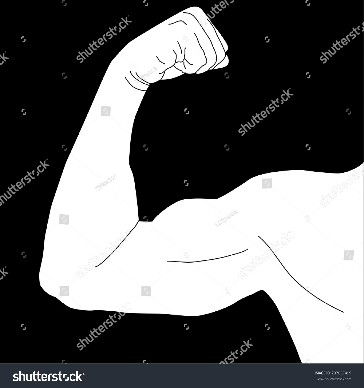 Biceps Man S Arm Muscles Stock Vector Illustration