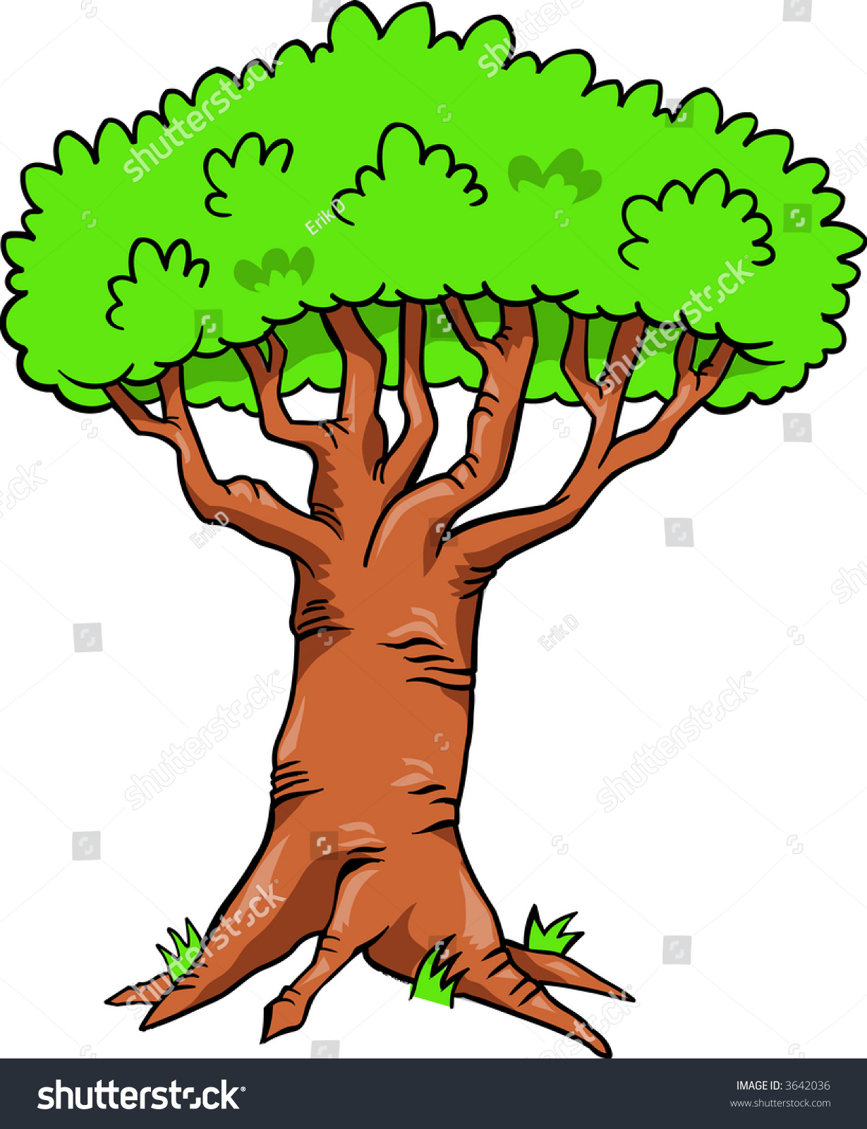 Big Tree Vector Illustration - 3642036 : Shutterstock