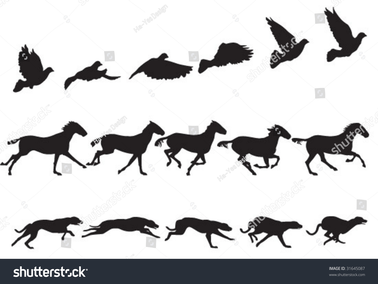 Bird, Horse And Dog In Motion. See #32154229 For More Sequences Stock 