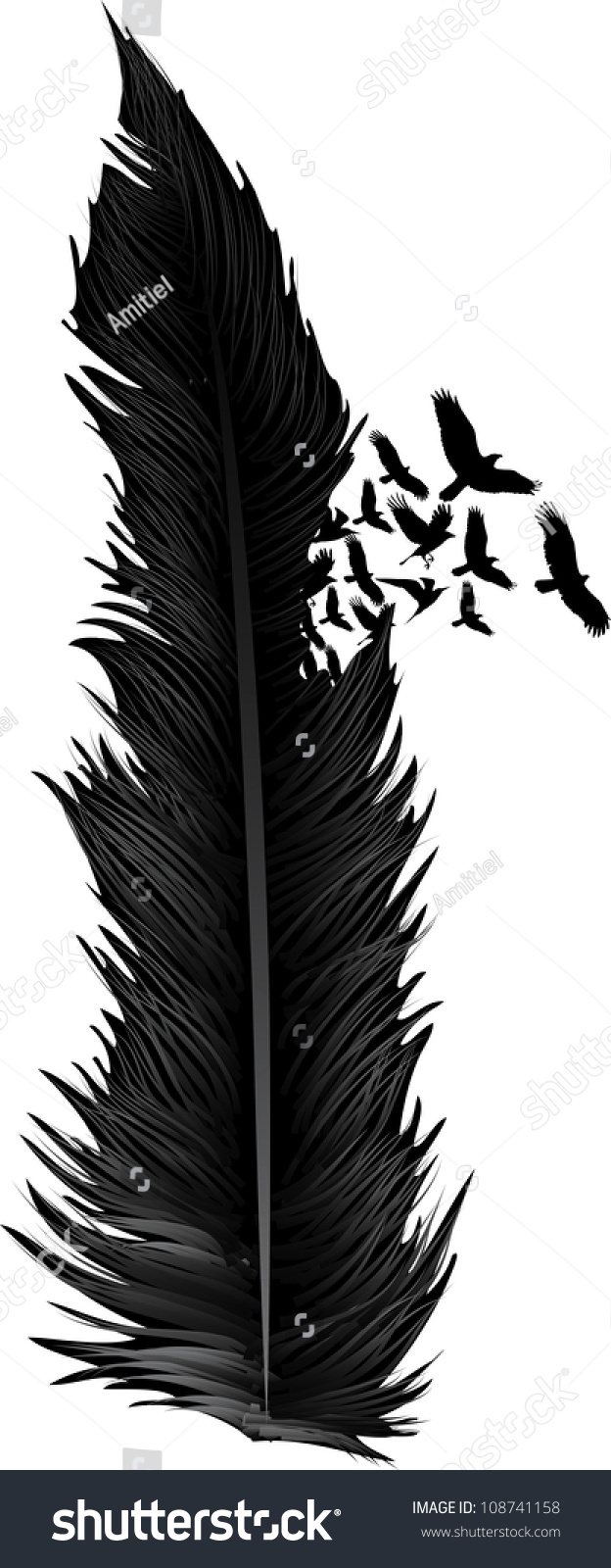 Birds And Feather Stock Vector Illustration 108741158 : Shutterstock