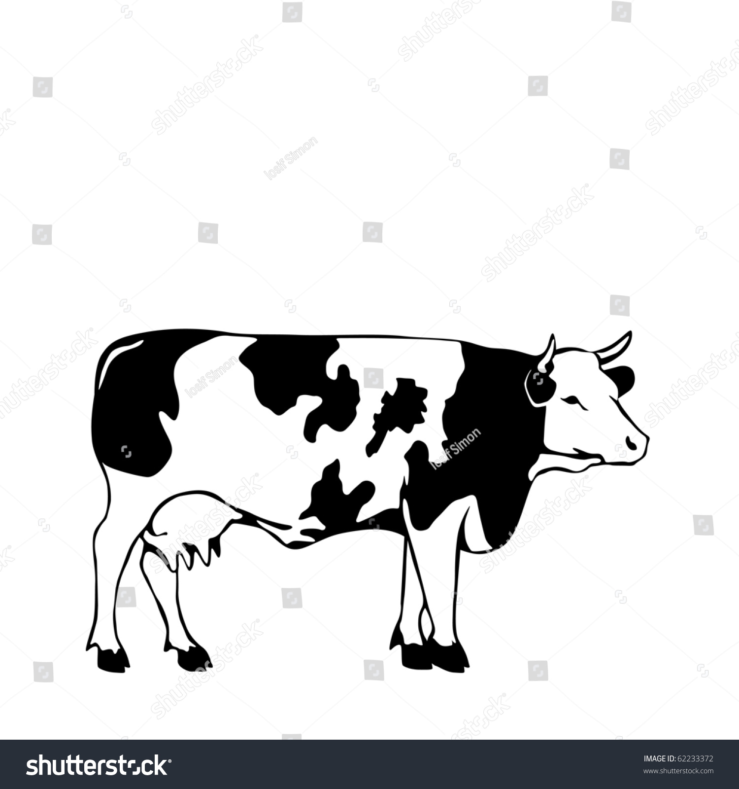 Black White Cow Vector Illustrator Stock Vector 62233372 - Shutterstock