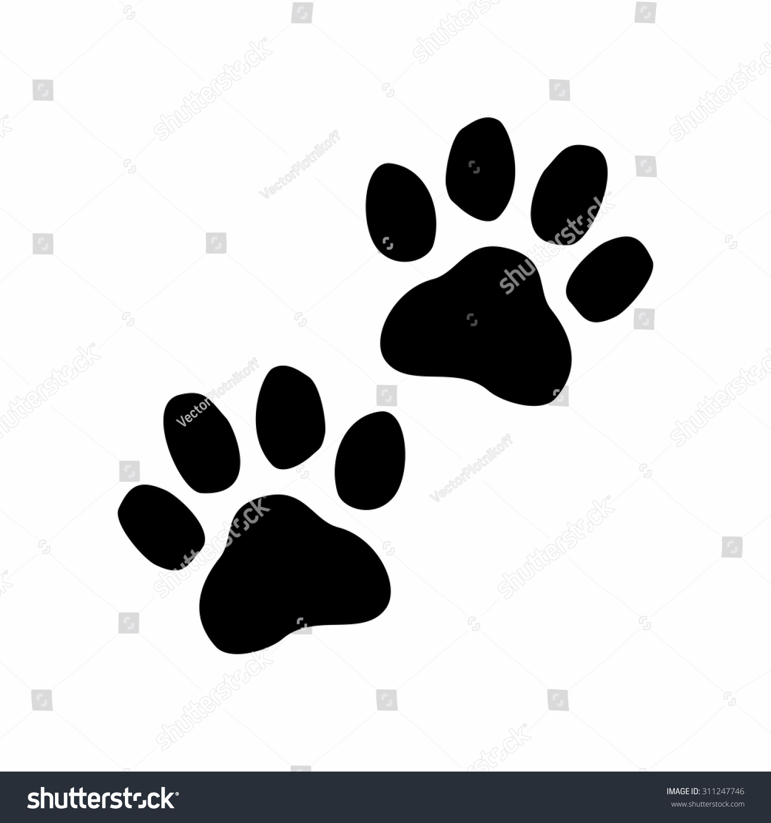 Black Paw Prints. Vector Illustration - 311247746 : Shutterstock