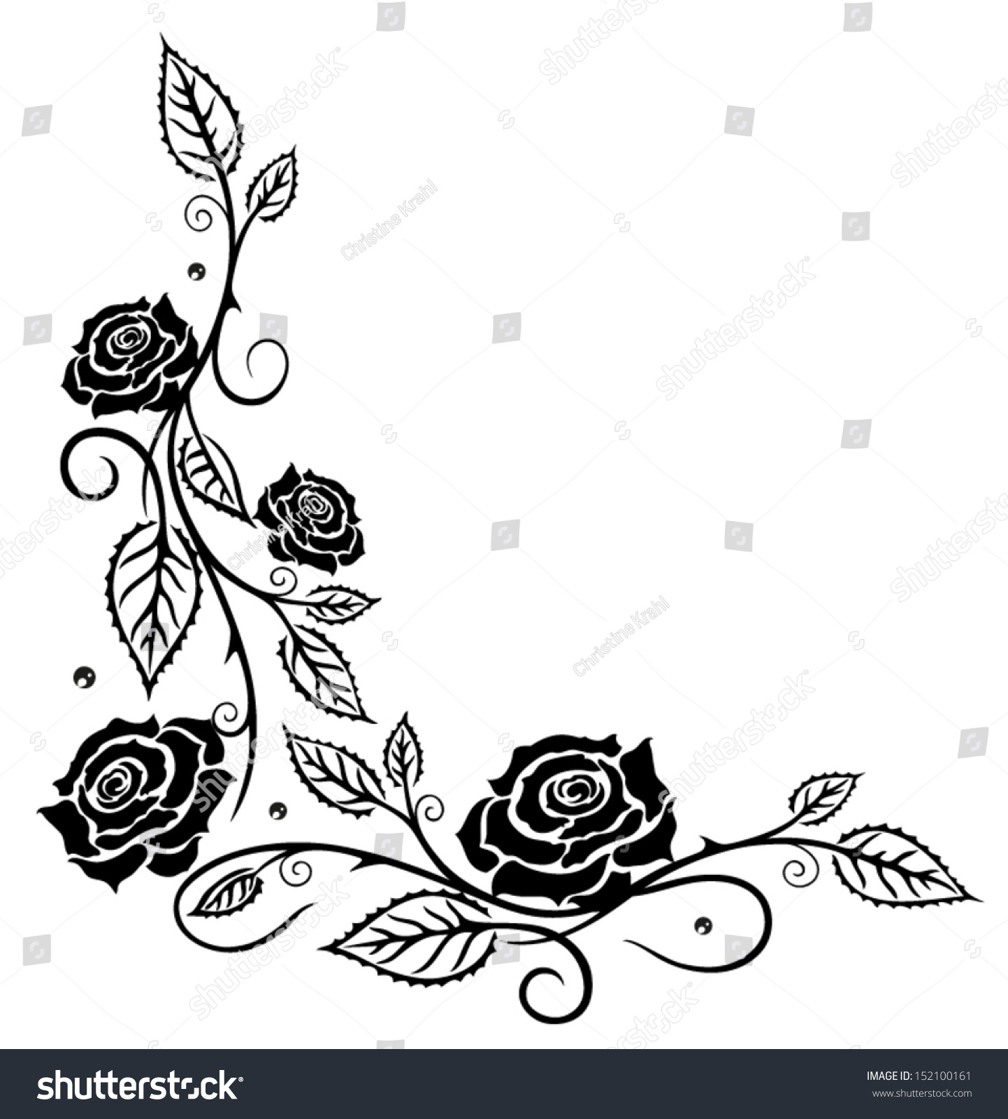 Black Roses Vector Illustration 152100161 Shutterstock 3557
