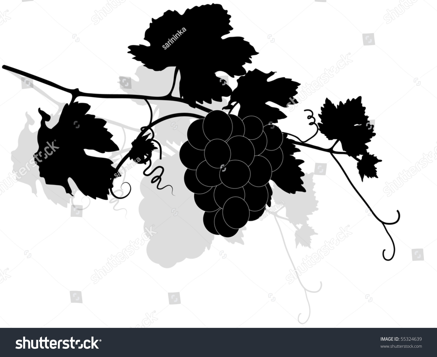Black Vine Leaves - Vector Illustration - 55324639 : Shutterstock