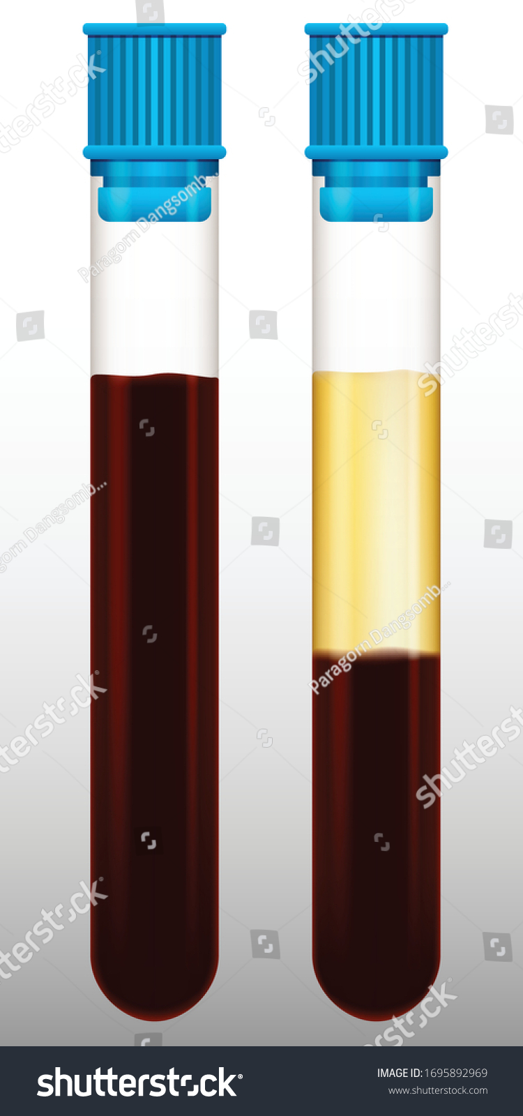 Blood Plasma Test Tubegraphic Vector Stock Vector Royalty Free Shutterstock