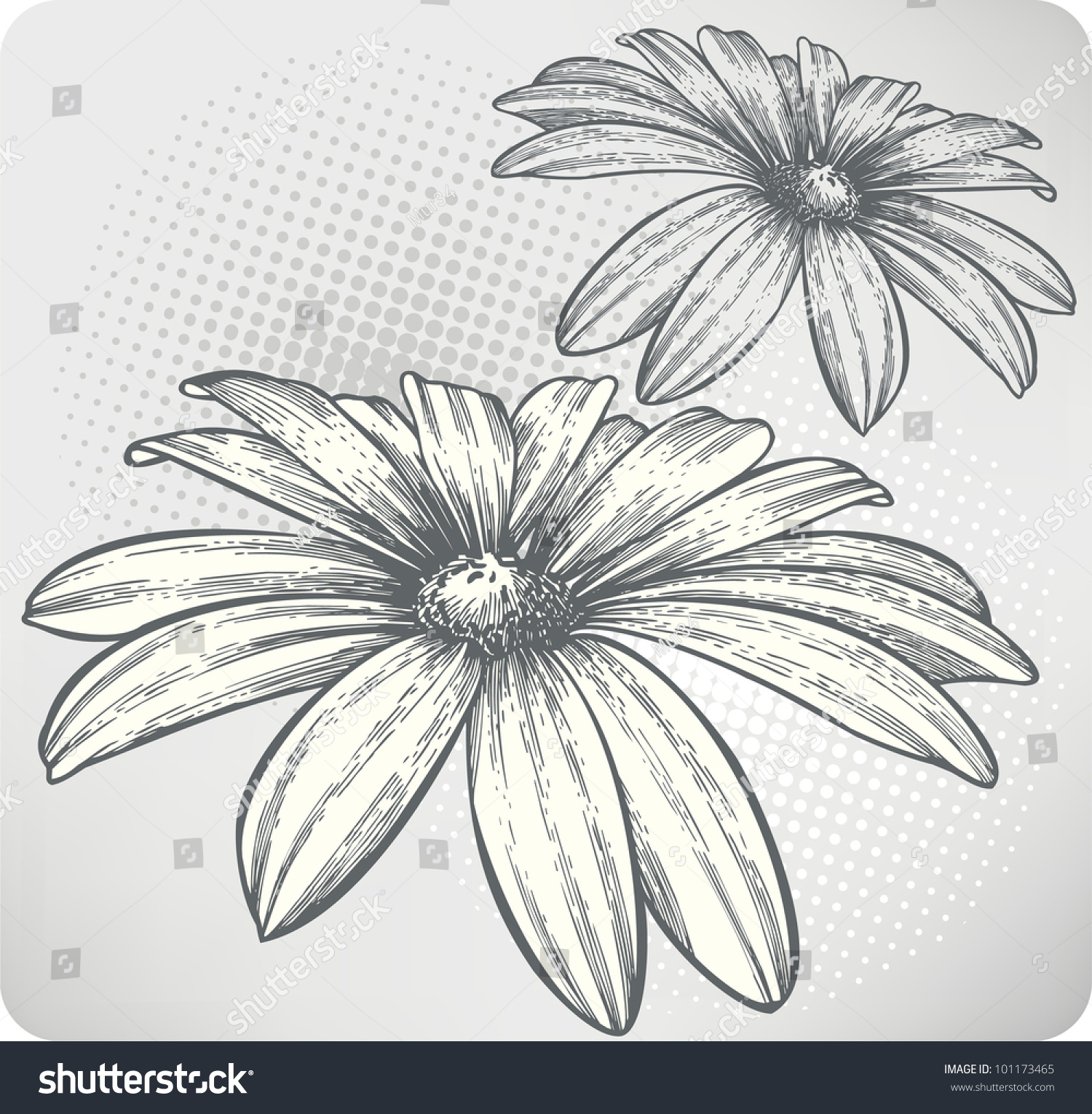 Blooming Flowers, HandDrawing. Vector Illustration. 101173465