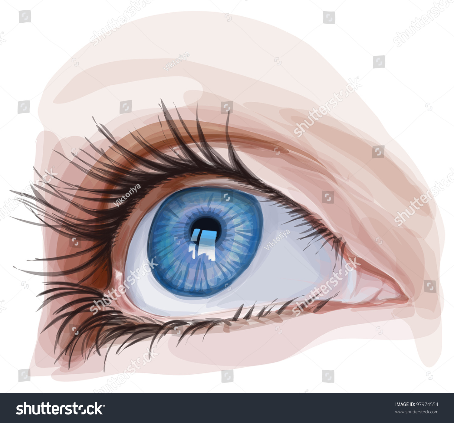 Blue Eye Vector Illustration Eps10 97974554 Shutterstock 8481