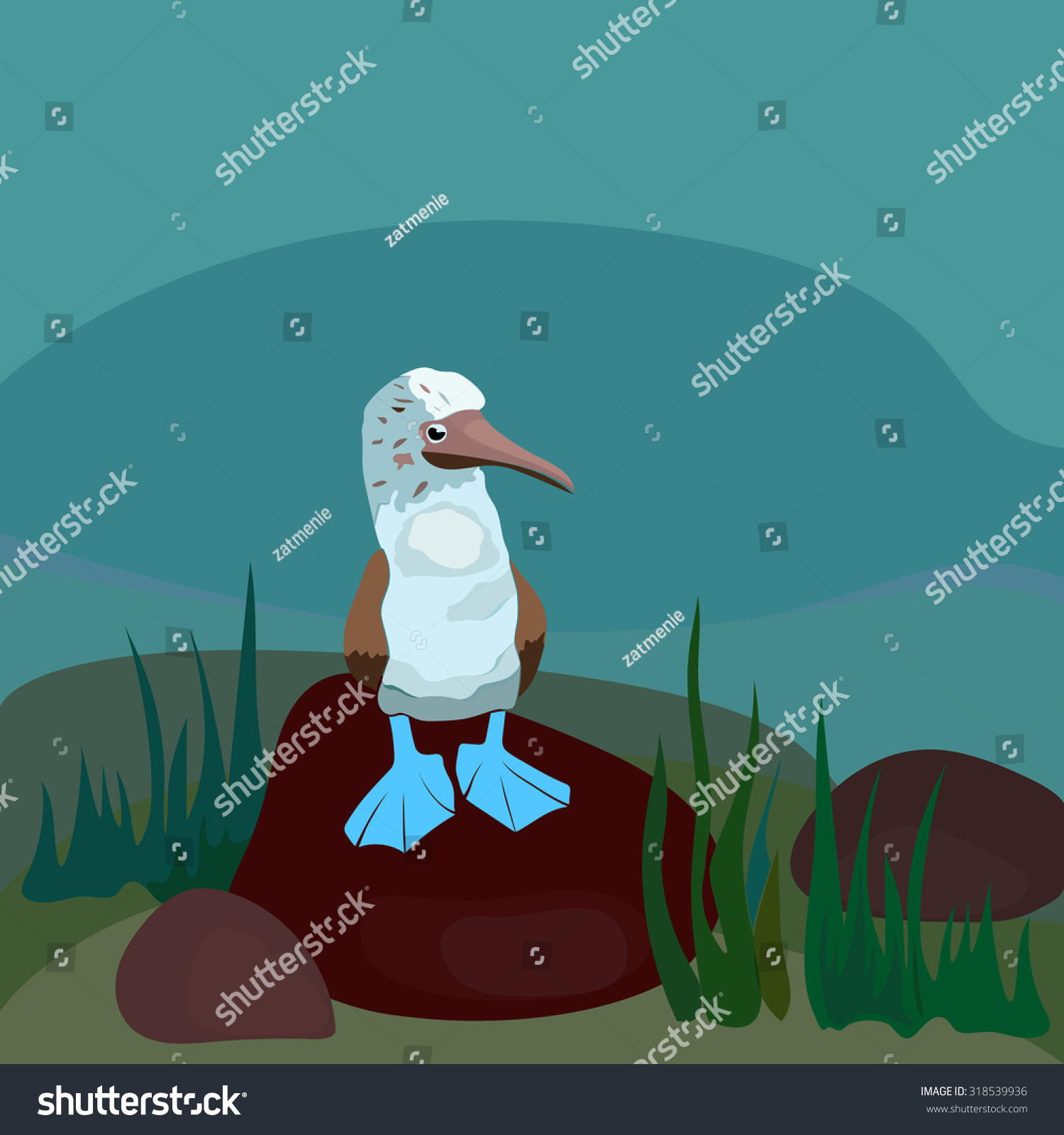 Blue Footed Booby Standing On Stone Stock Vector Illustration 16714 Hot Sex Picture 9967