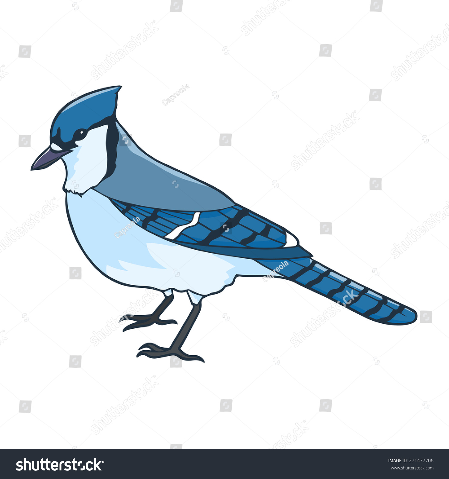 Blue Jay Illustration Stock Vector 271477706 - Shutterstock