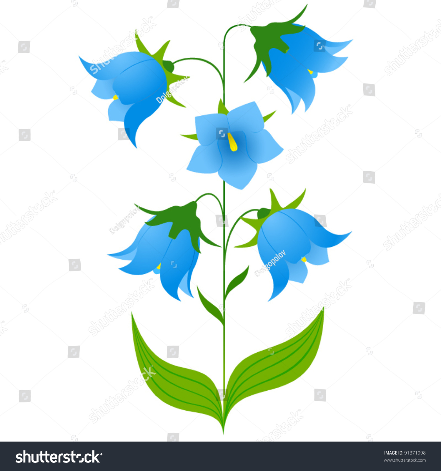 Bluebell Stock Vector Illustration 91371998 : Shutterstock