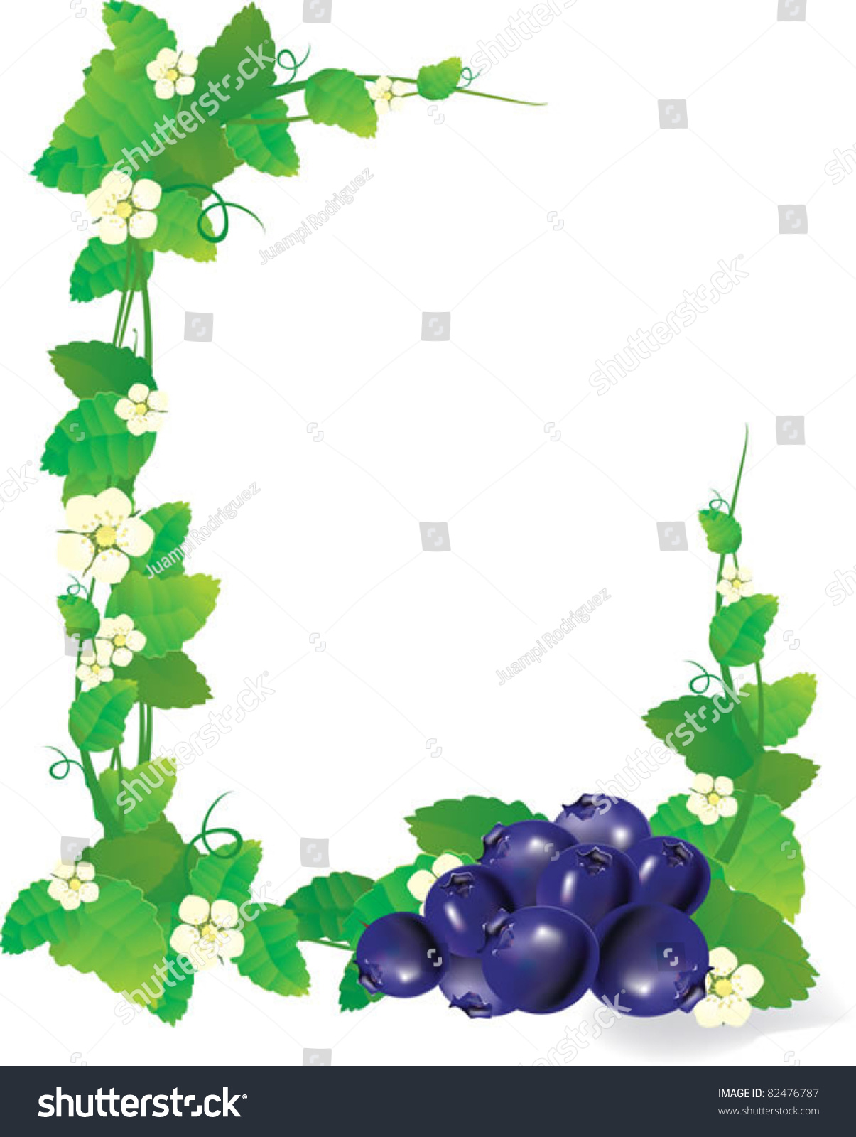 Blueberry Frame Stock Vector Illustration 82476787 : Shutterstock