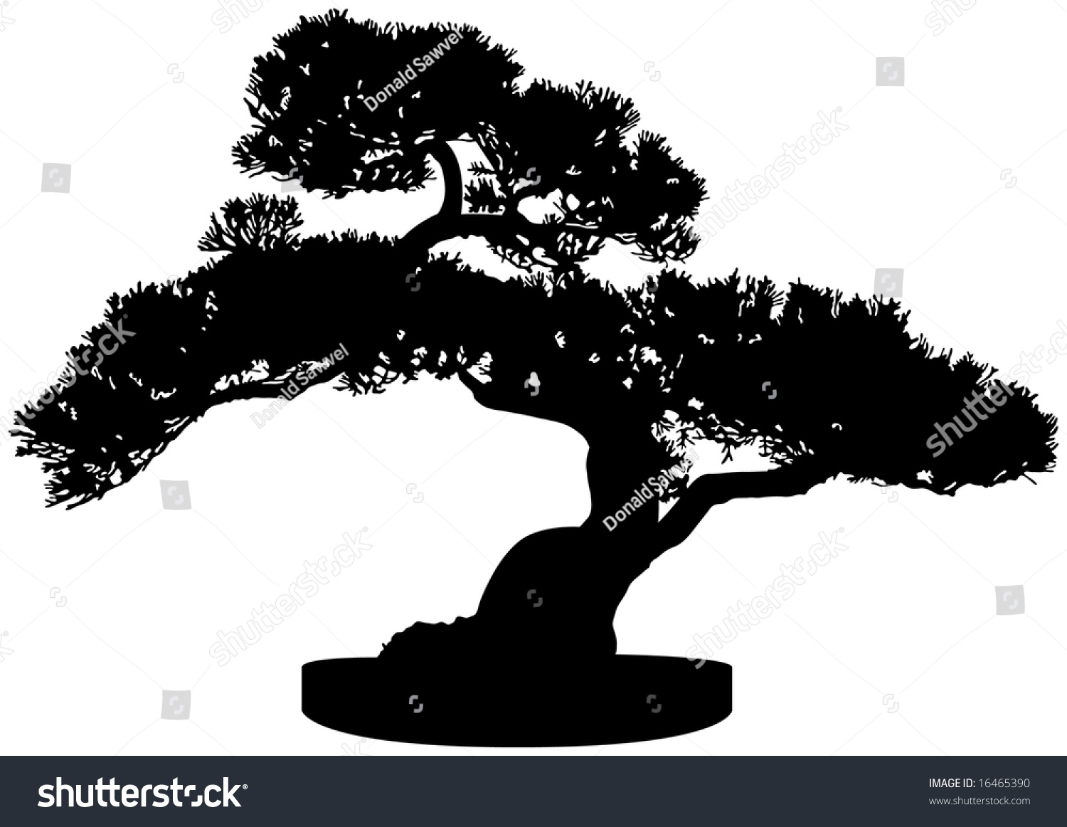 clip art juniper tree - photo #10