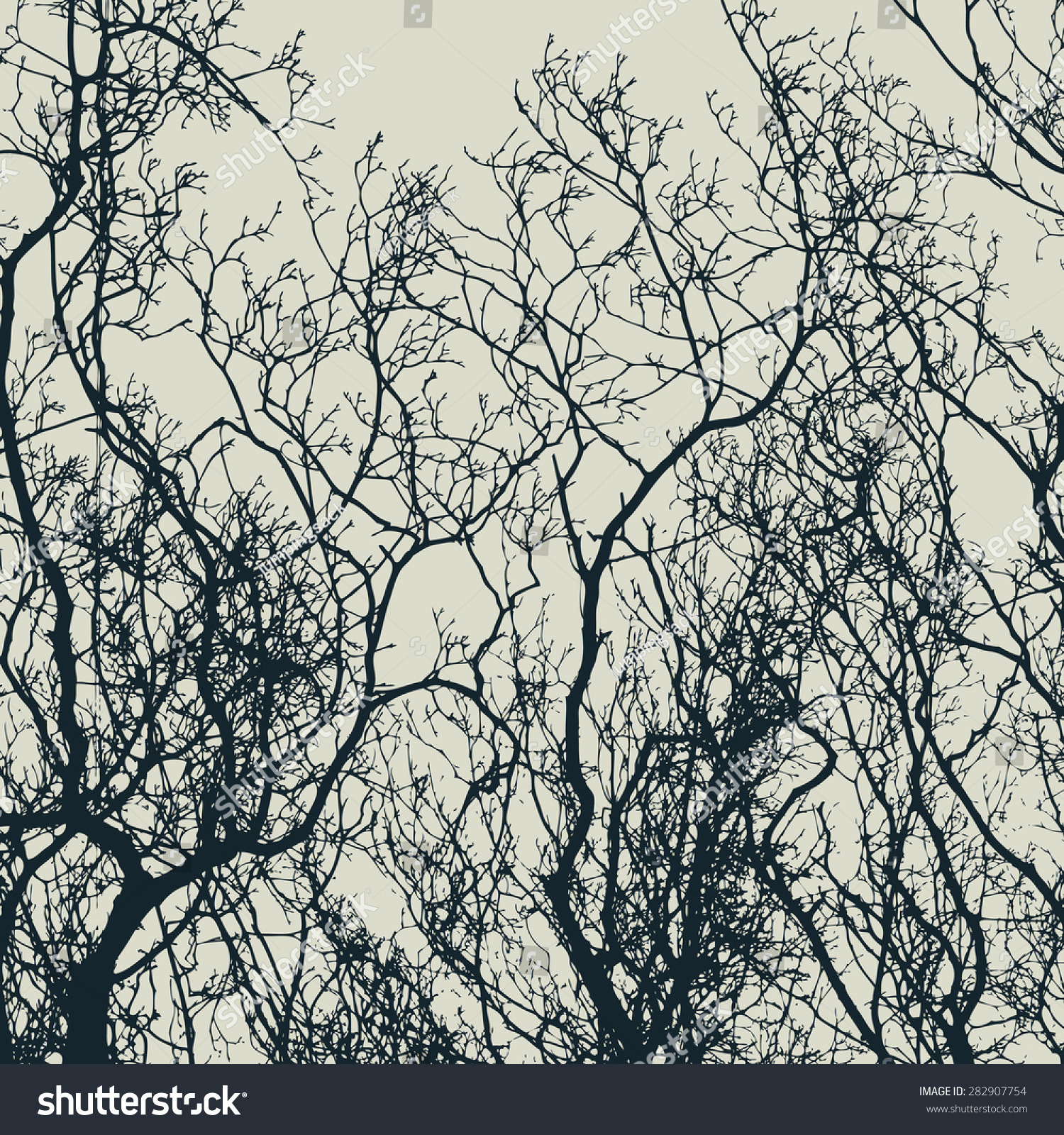 Branches Silhouette. Detailed Vector Illustration - 282907754