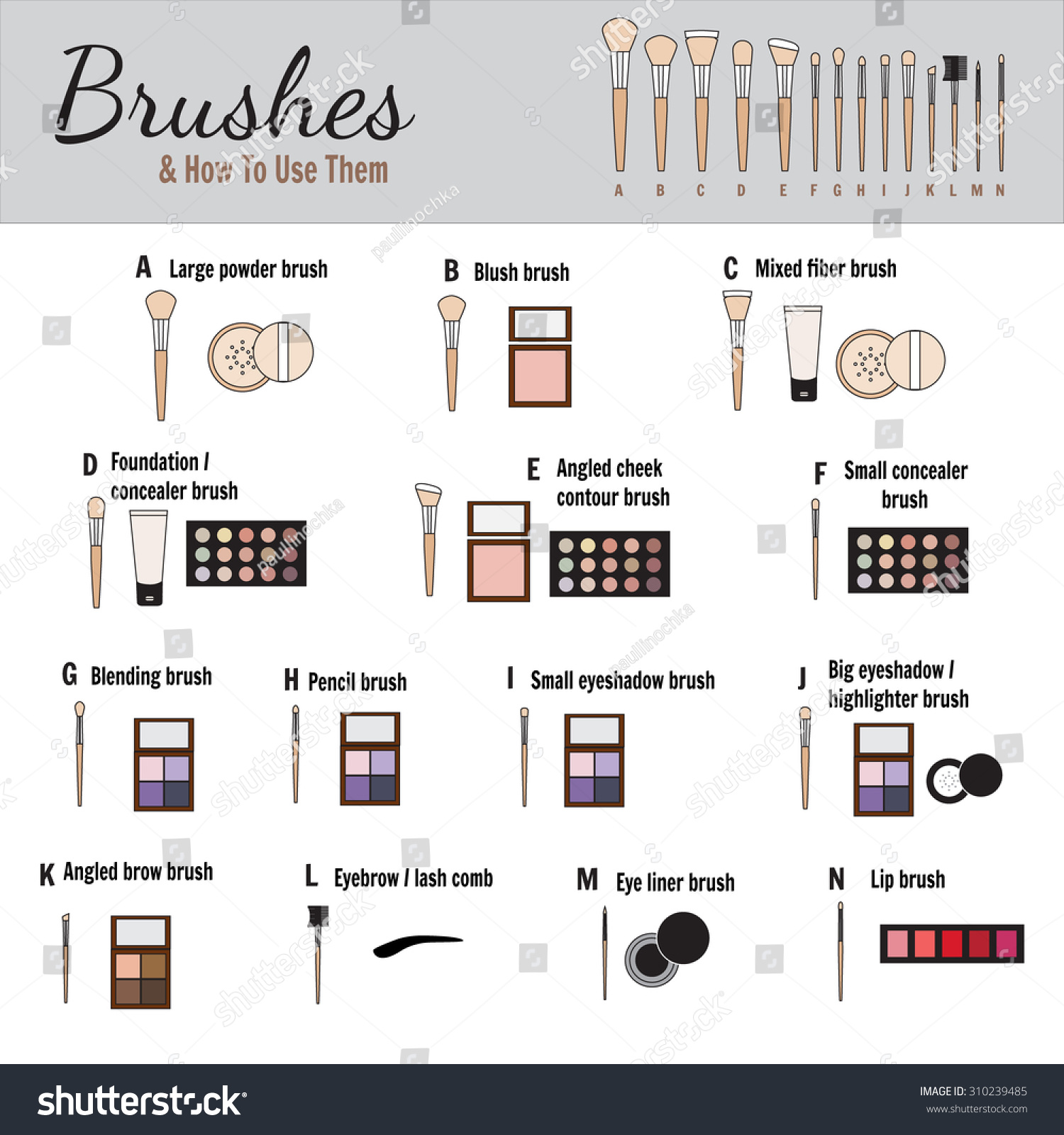 Brushes For Makeup With Names - Vector Illustration - 310239485 