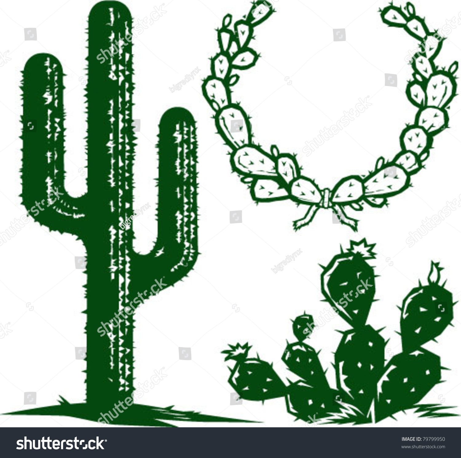 Cactus Stock Vector 79799950 - Shutterstock