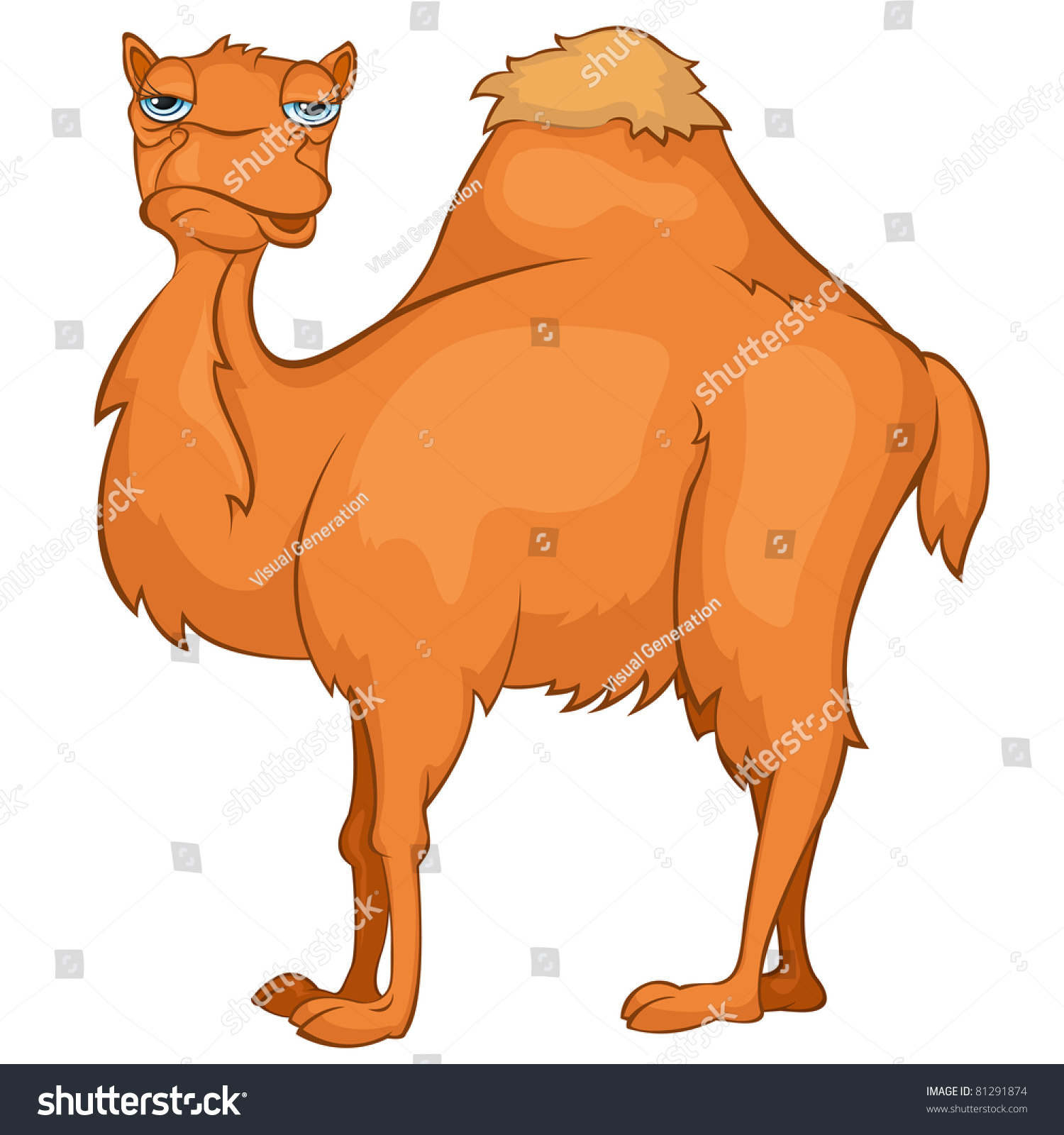 Cartoon Character Camel Stock Vector Illustration Shutterstock