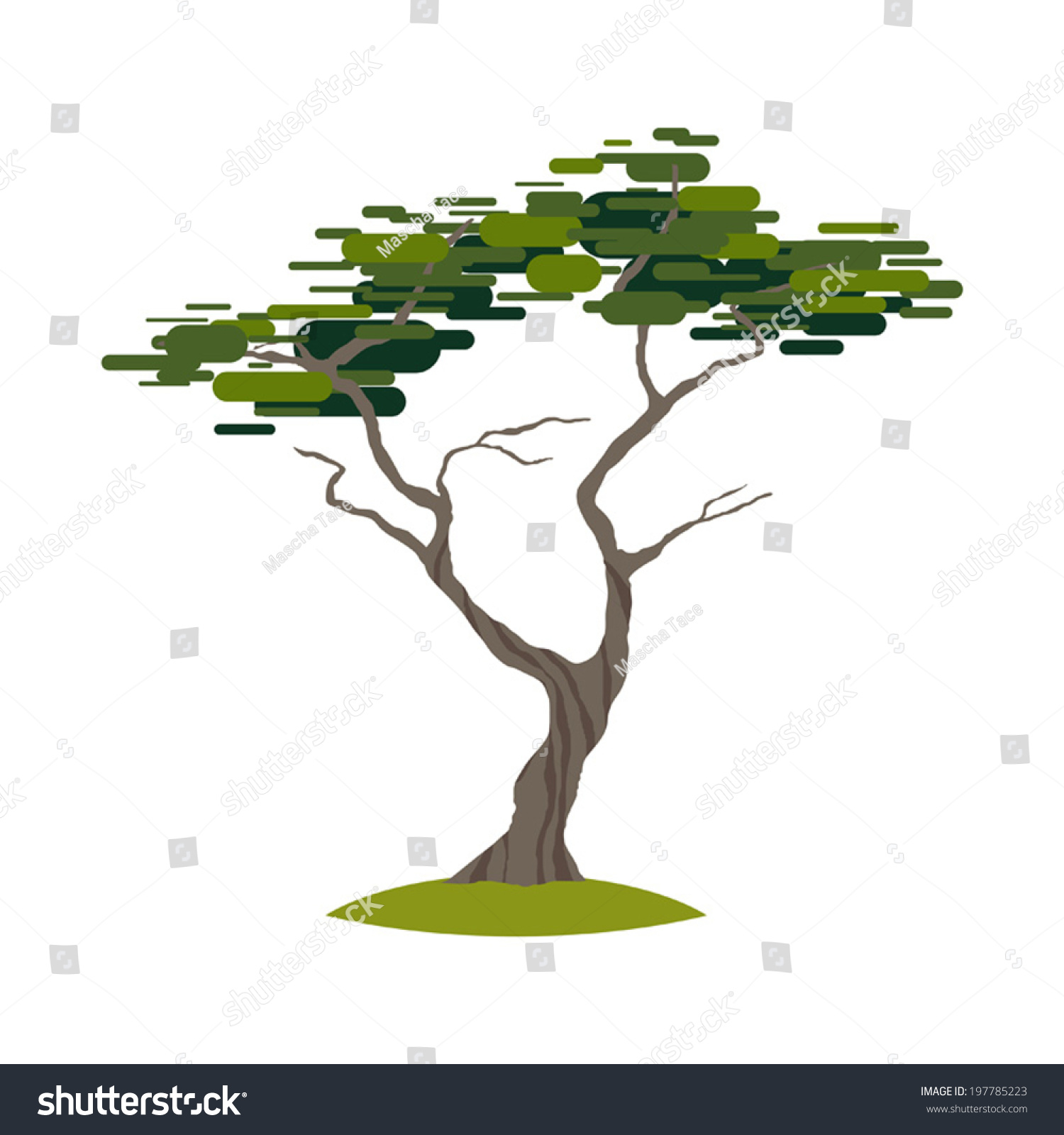 clip art cypress tree - photo #24