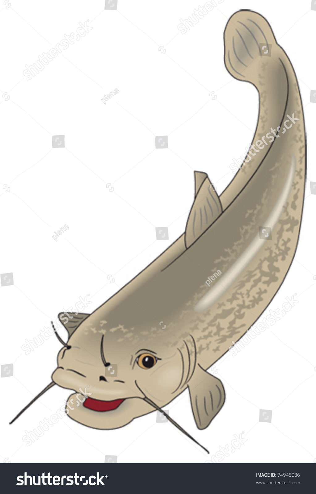 Cartoon Fish Catfish Stock Vector Illustration 74945086 : Shutterstock