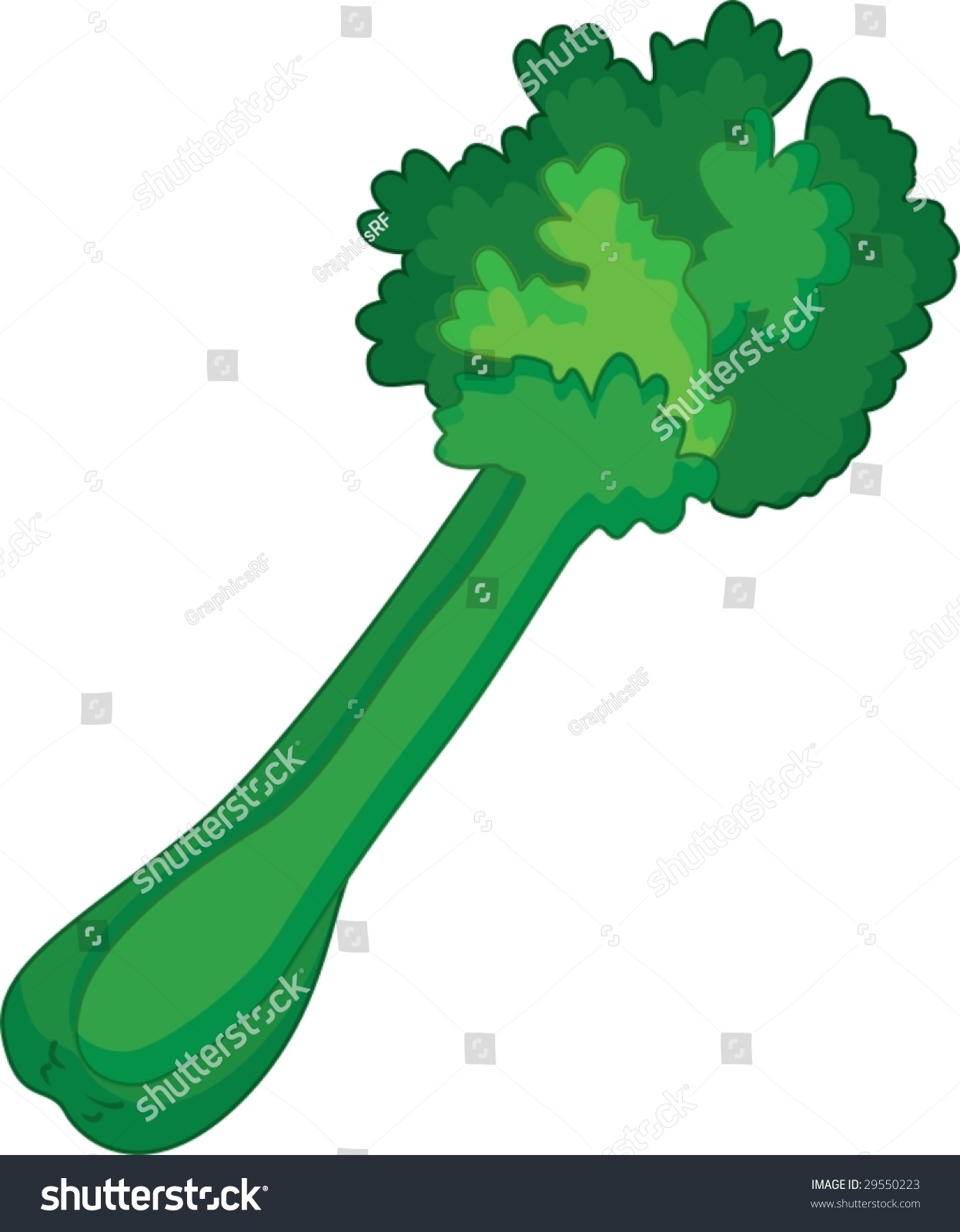 Cartoon Illustration Of A Celery - 29550223 : Shutterstock