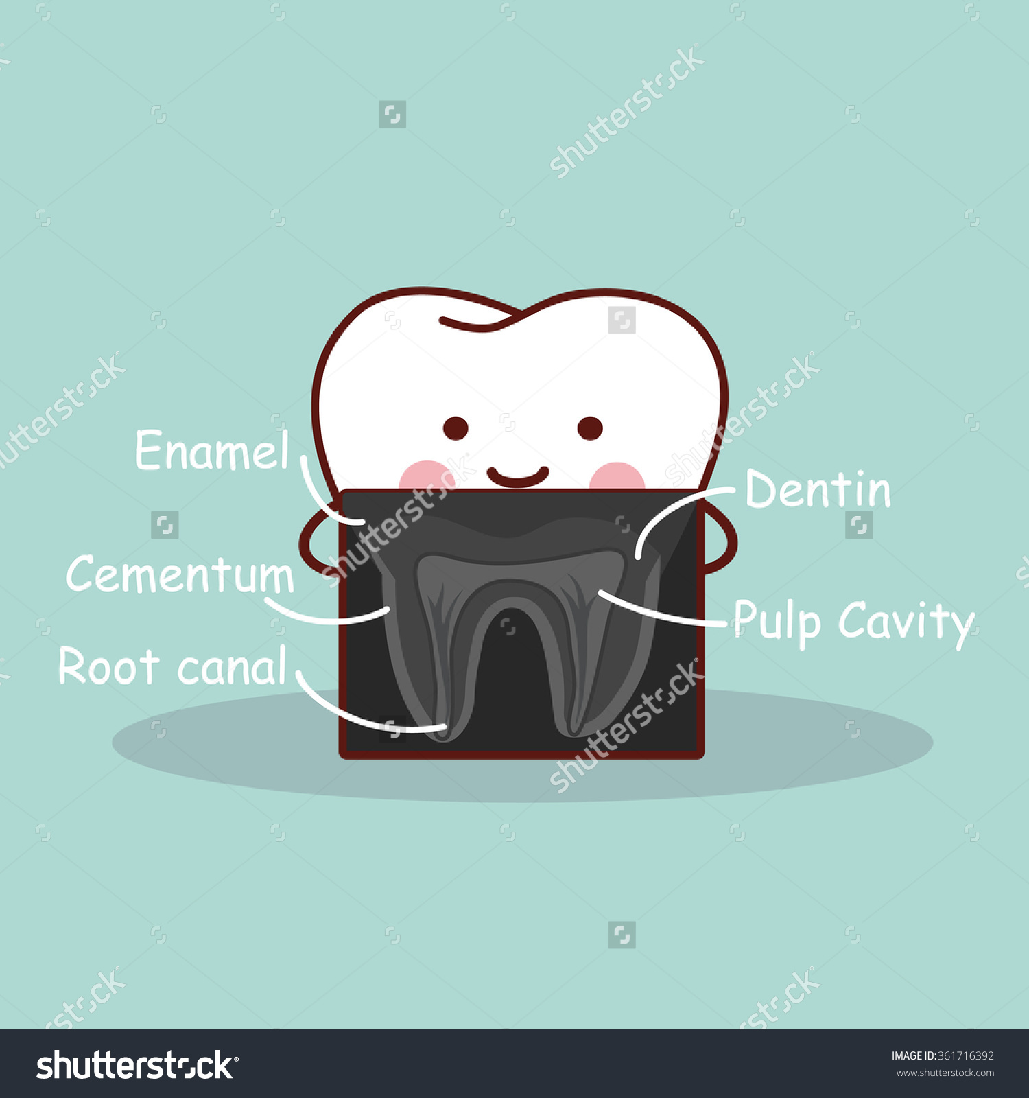 cartoon tooth with X ray great for health dental care concept cartoon tooth with X ray great for health dental care concept