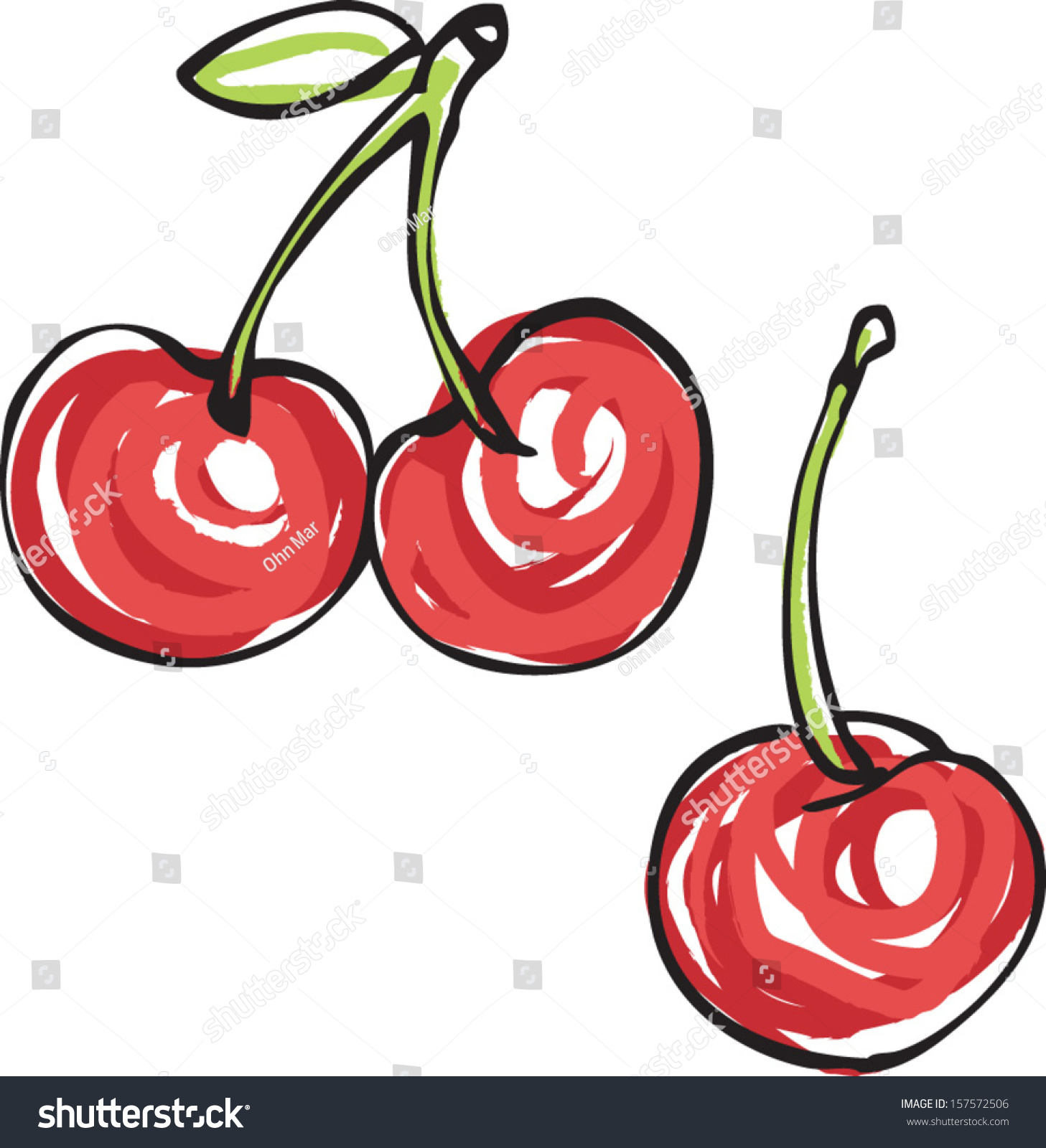 Cherry Vector Illustration Stock Vector 157572506 - Shutterstock