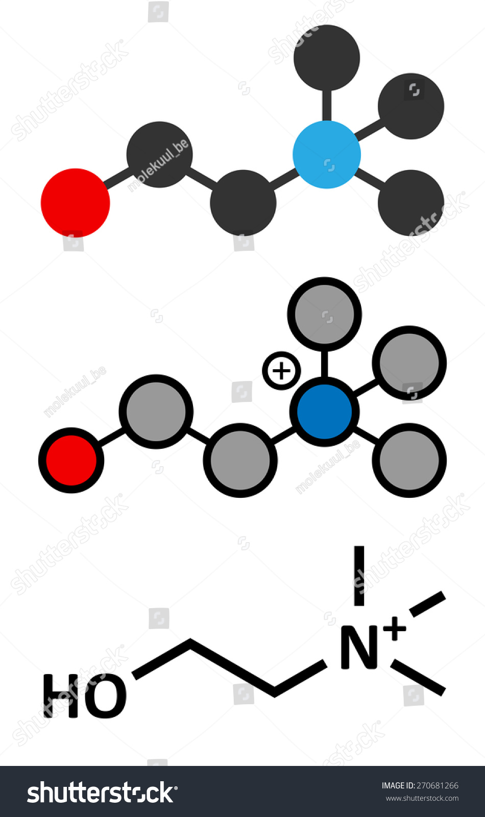 Choline Essential Nutrient Molecule Stylized 2d Stock Vector Royalty