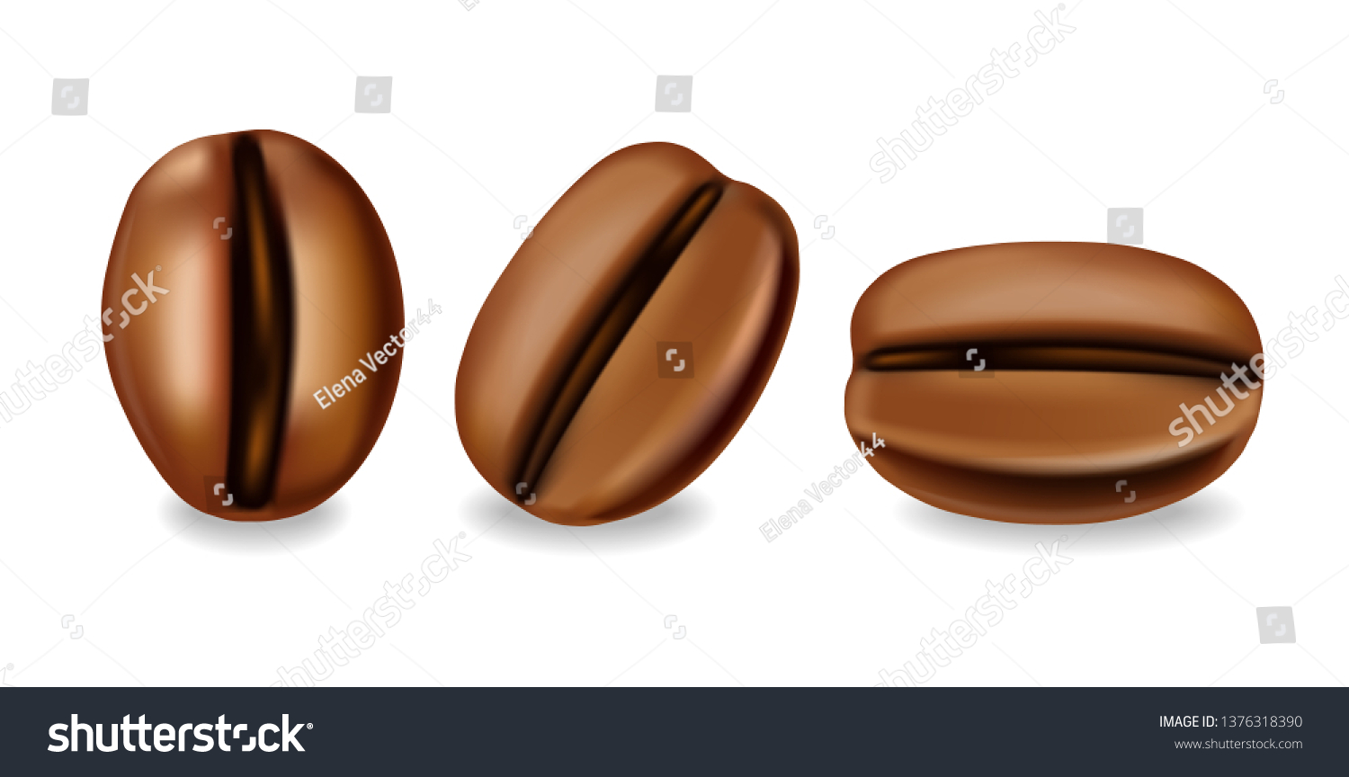 Coffee Beans Realistic Set Isolated White Stock Vector Royalty Free