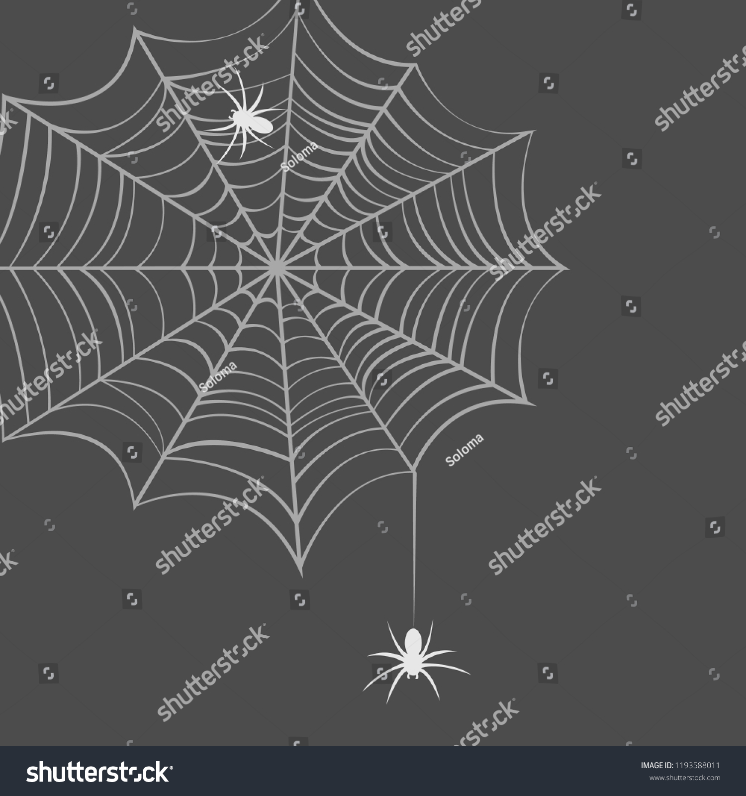 Collection Cobweb Isolated Transparent Background Cobweb Vector De